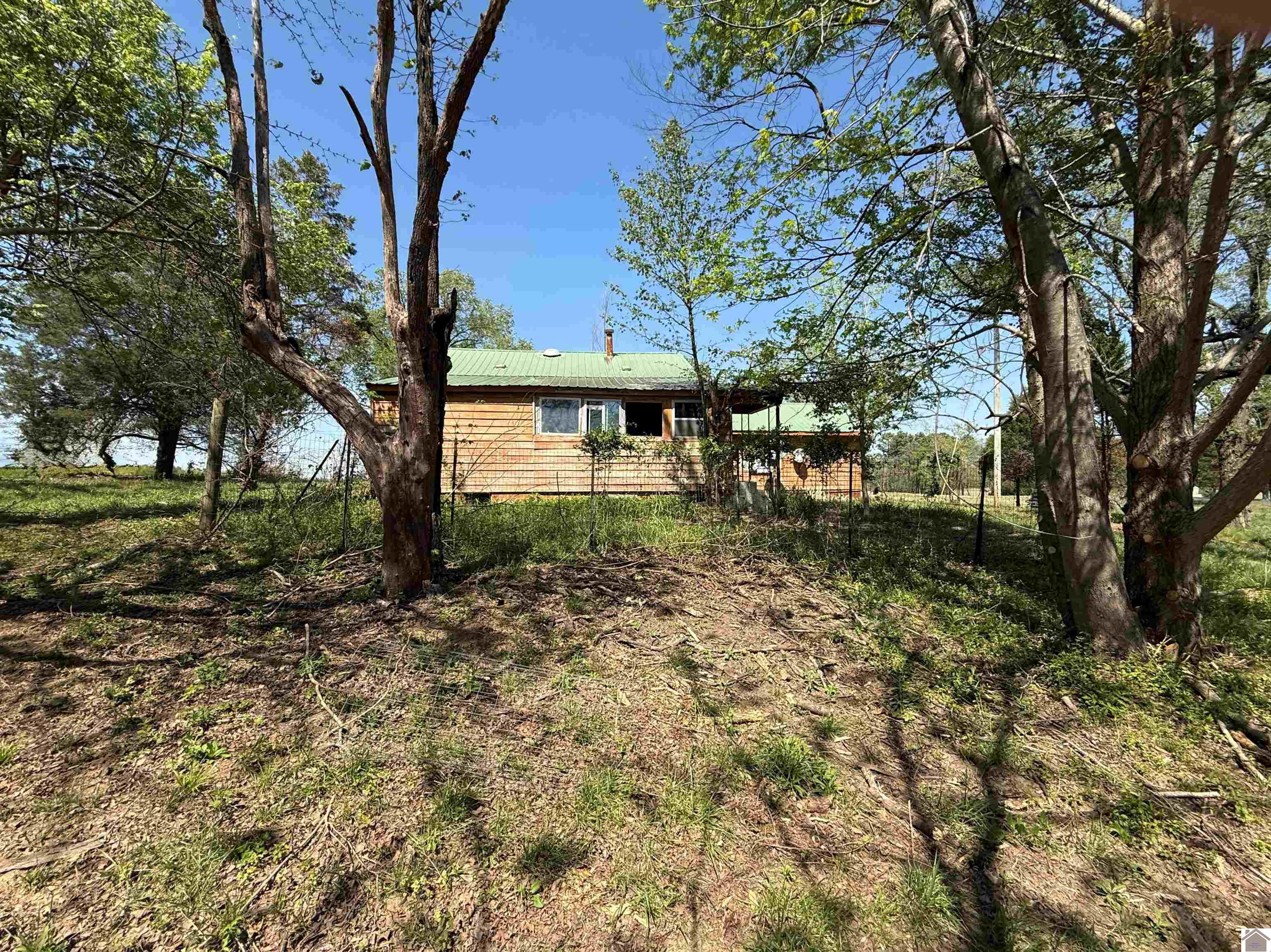 3599 W State Route 339, Wingo, KY 42088 Listing Photo  16