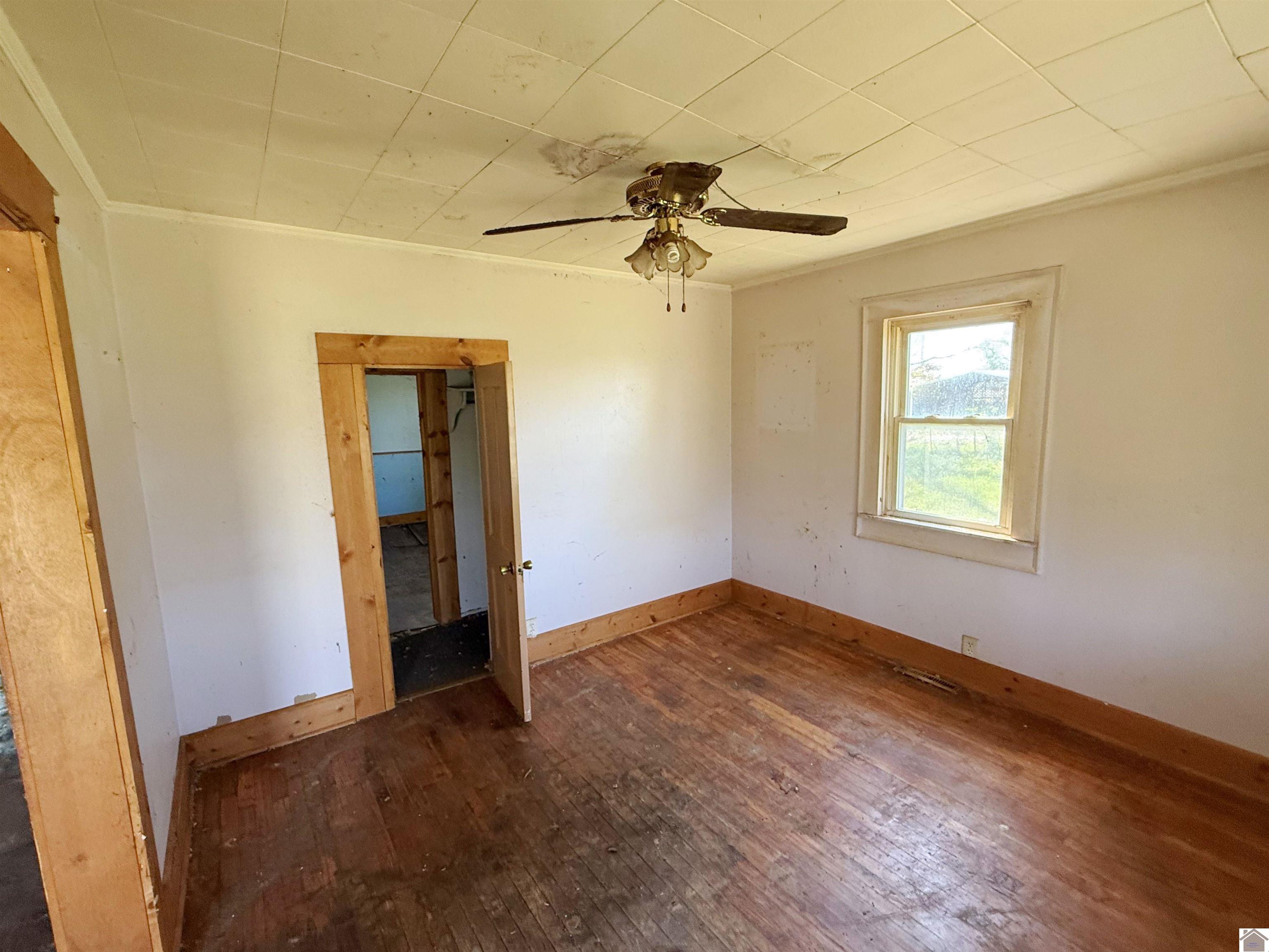 3599 W State Route 339, Wingo, KY 42088 Listing Photo  20