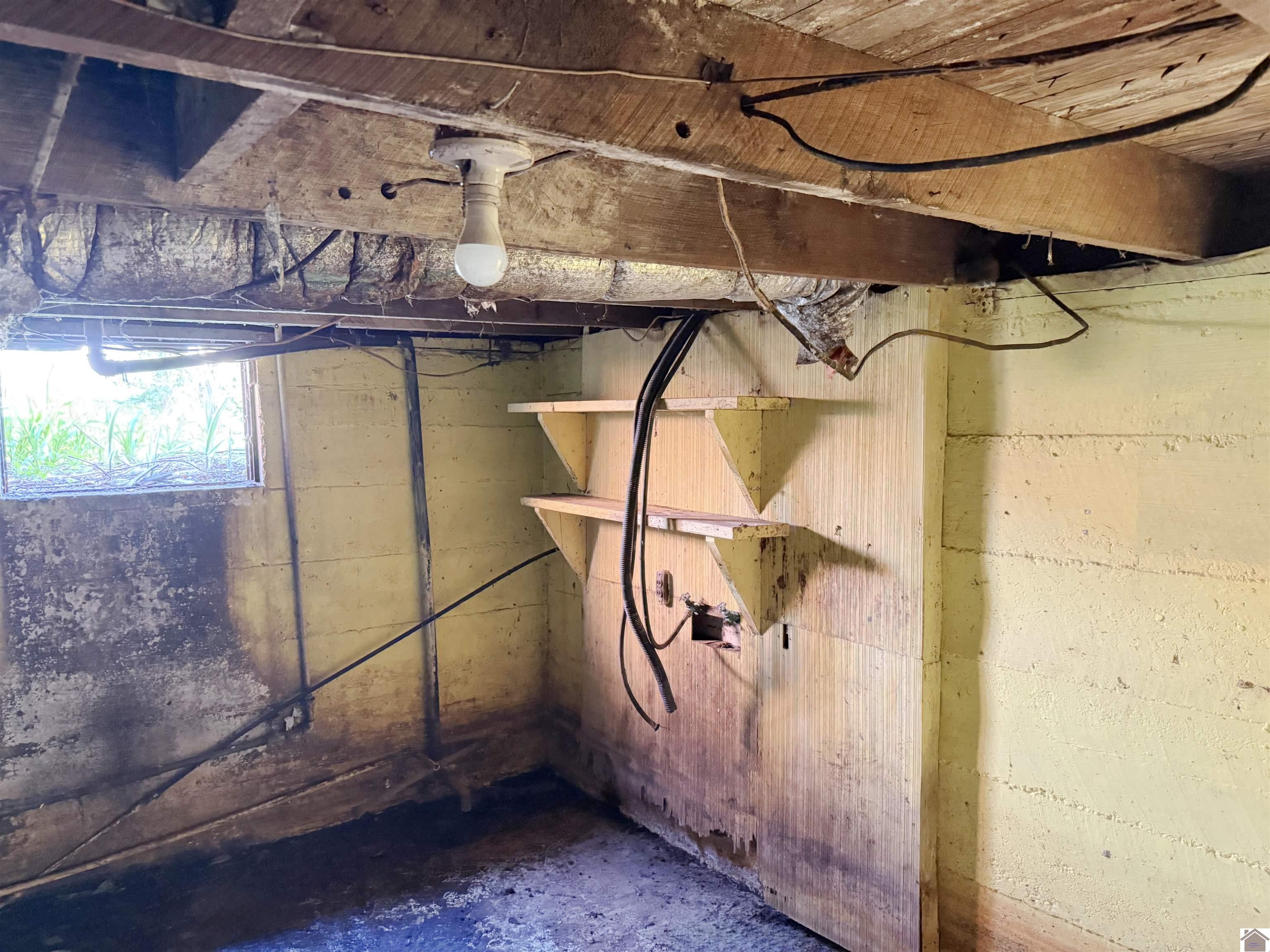3599 W State Route 339, Wingo, KY 42088 Listing Photo  33