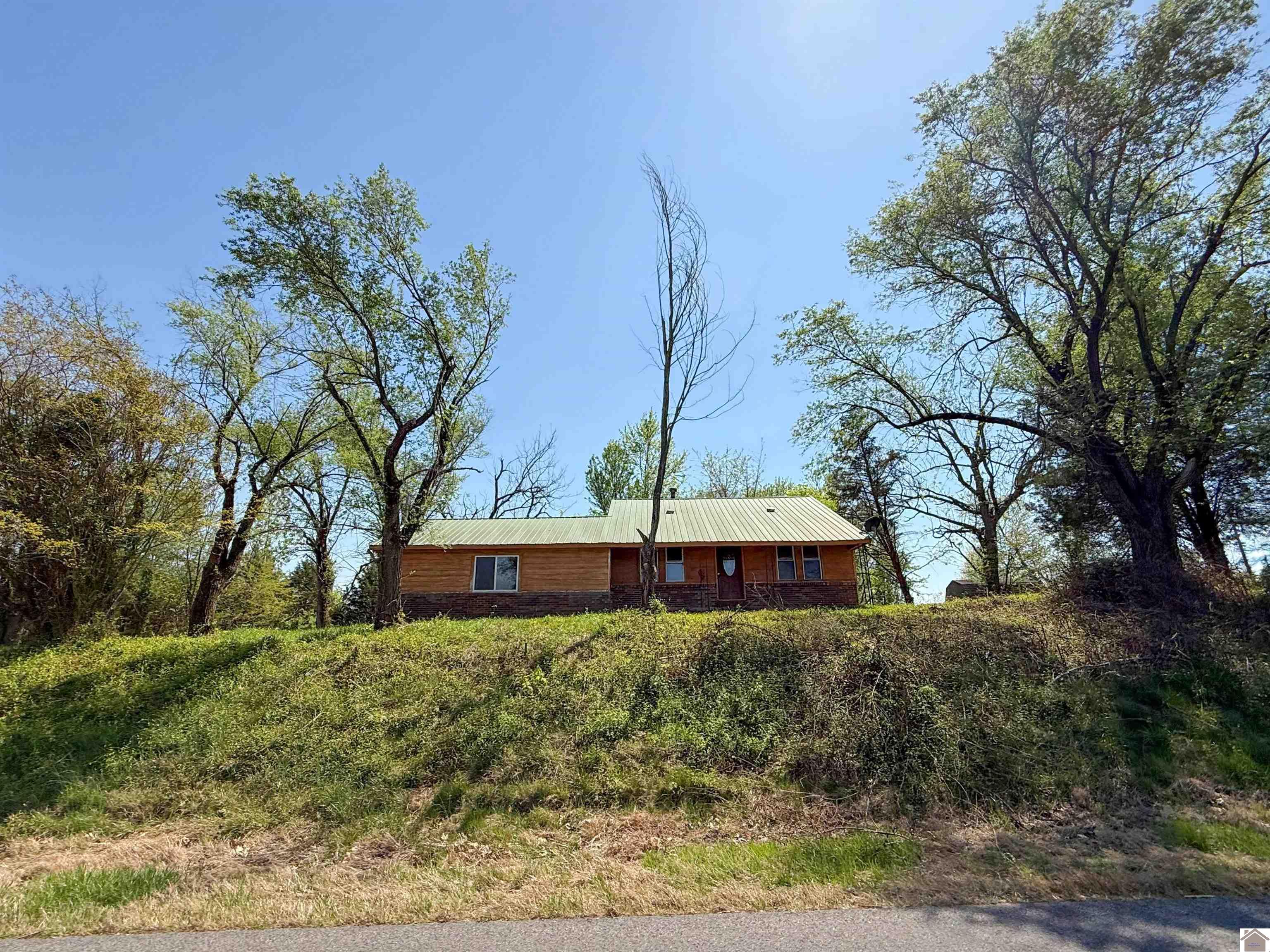 3599 W State Route 339, Wingo, KY 42088 Listing Photo  36