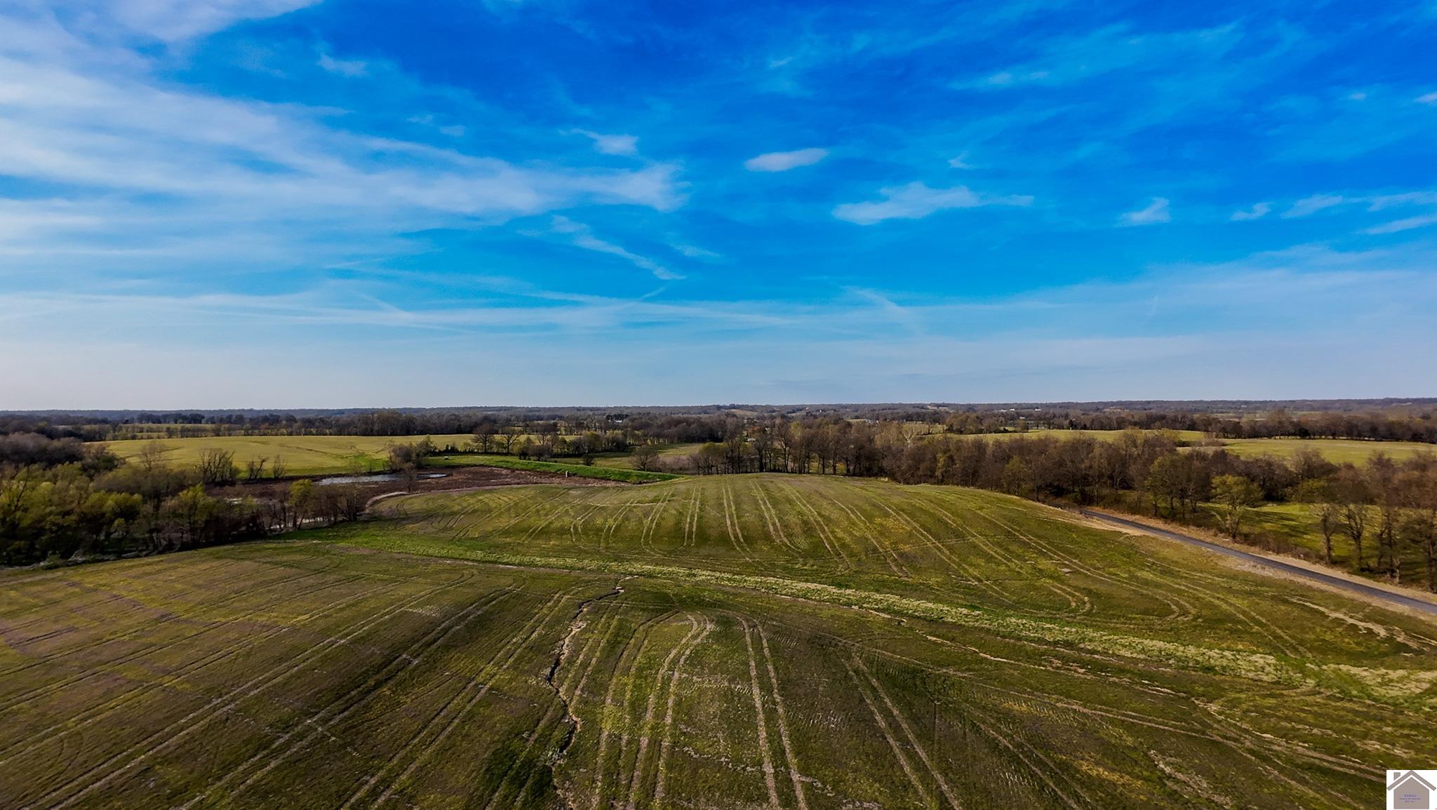 County Road 1110 & HWY 80, Fancy Farm, KY 42039 Listing Photo  1