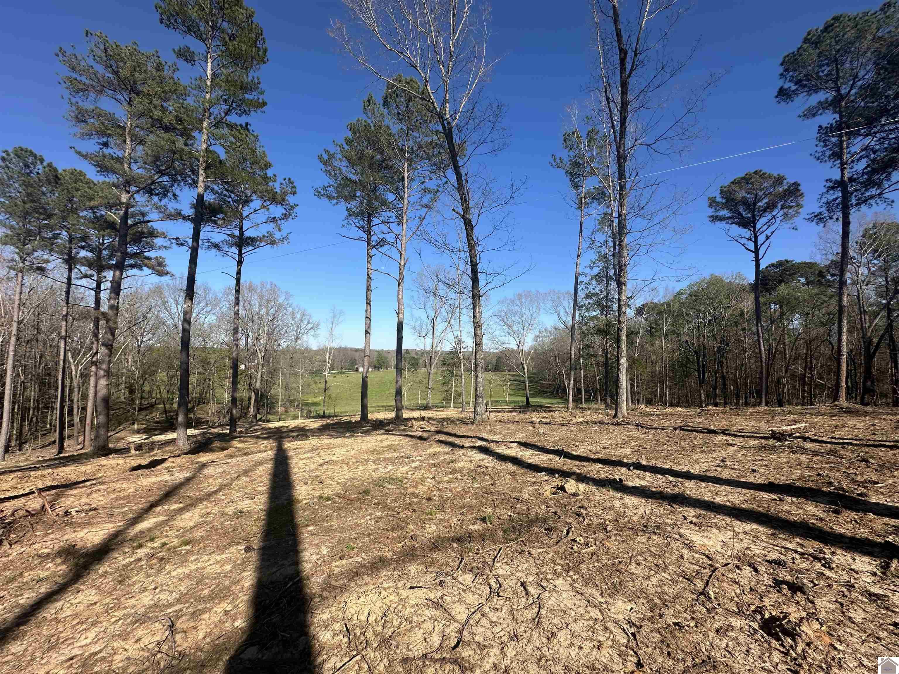 00 Beechy Creek Ln, Murray, KY 42071 Listing Photo  4