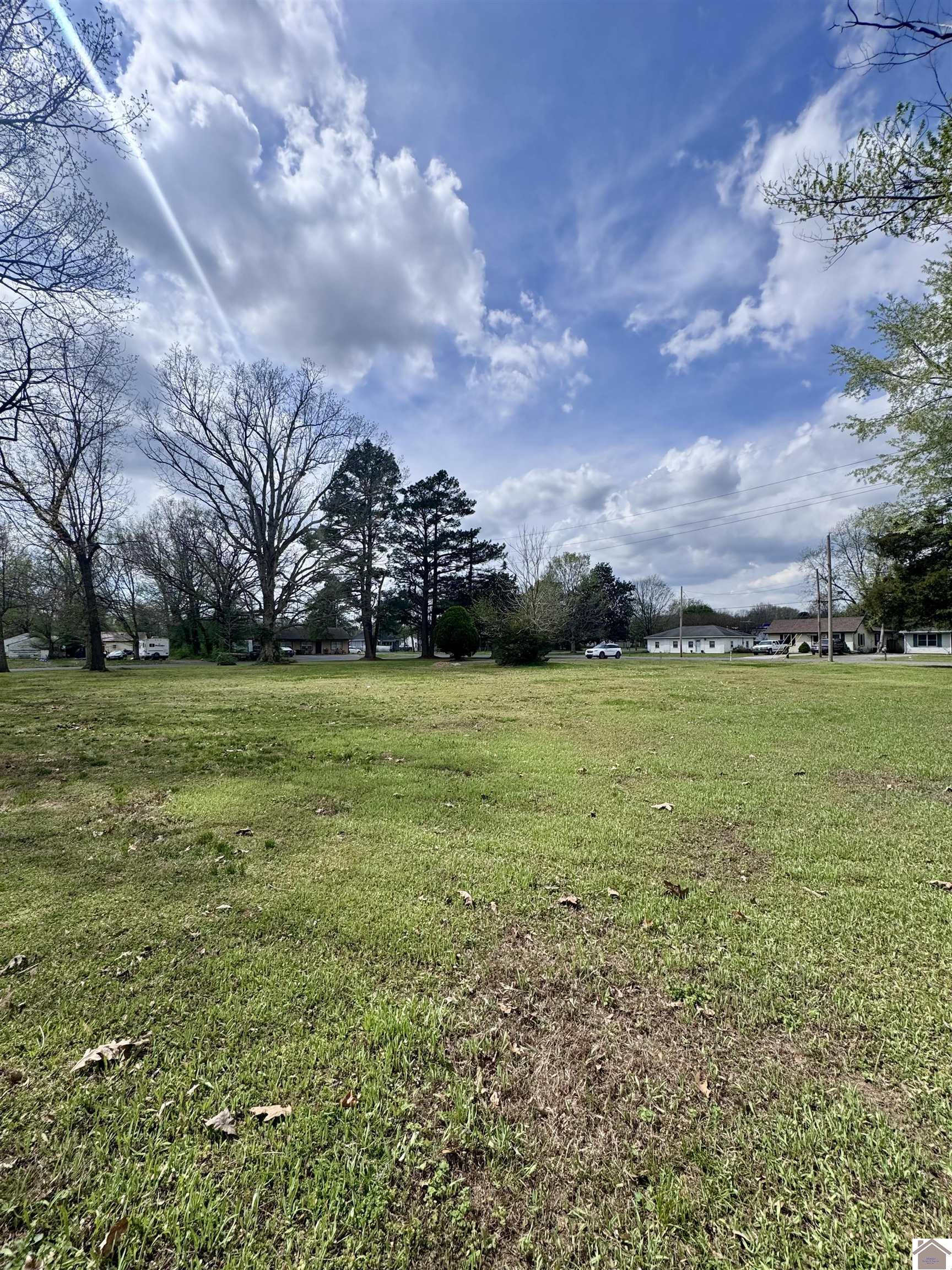 1011 S 30th Street, Paducah, KY 42003 Listing Photo  4