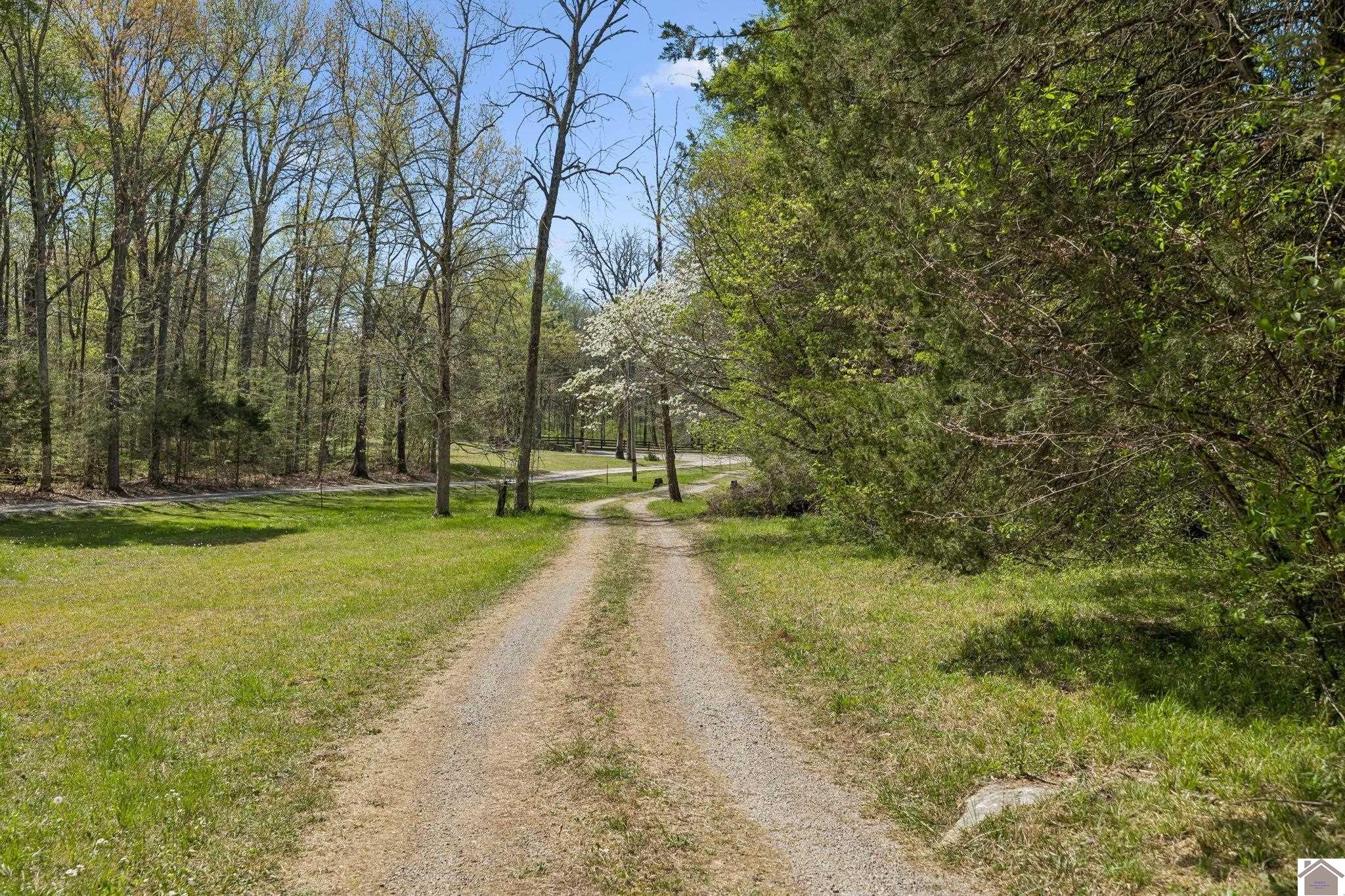 1550 Caney Court Lane, Other, TN 37034 Listing Photo  23