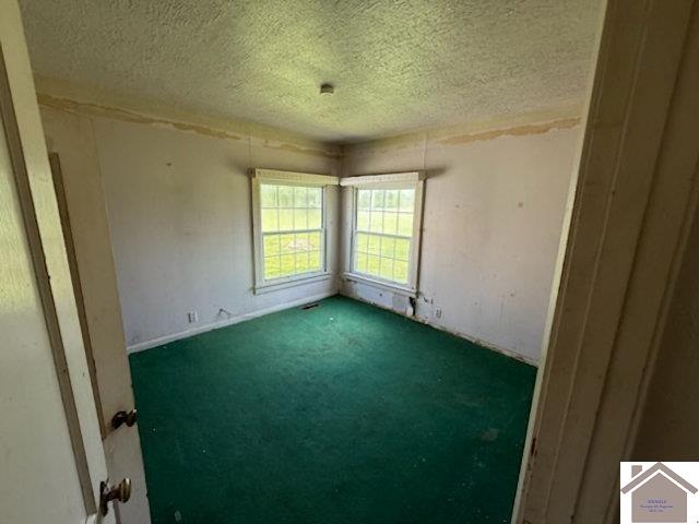 186 Exchange, Wingo, KY 42088 Listing Photo  12