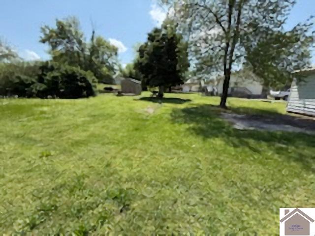 186 Exchange, Wingo, KY 42088 Listing Photo  9