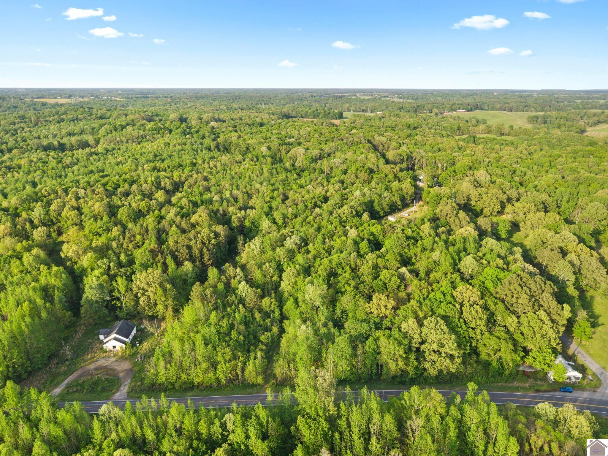 State Route 97, Farmington, KY 42040 Listing Photo  11