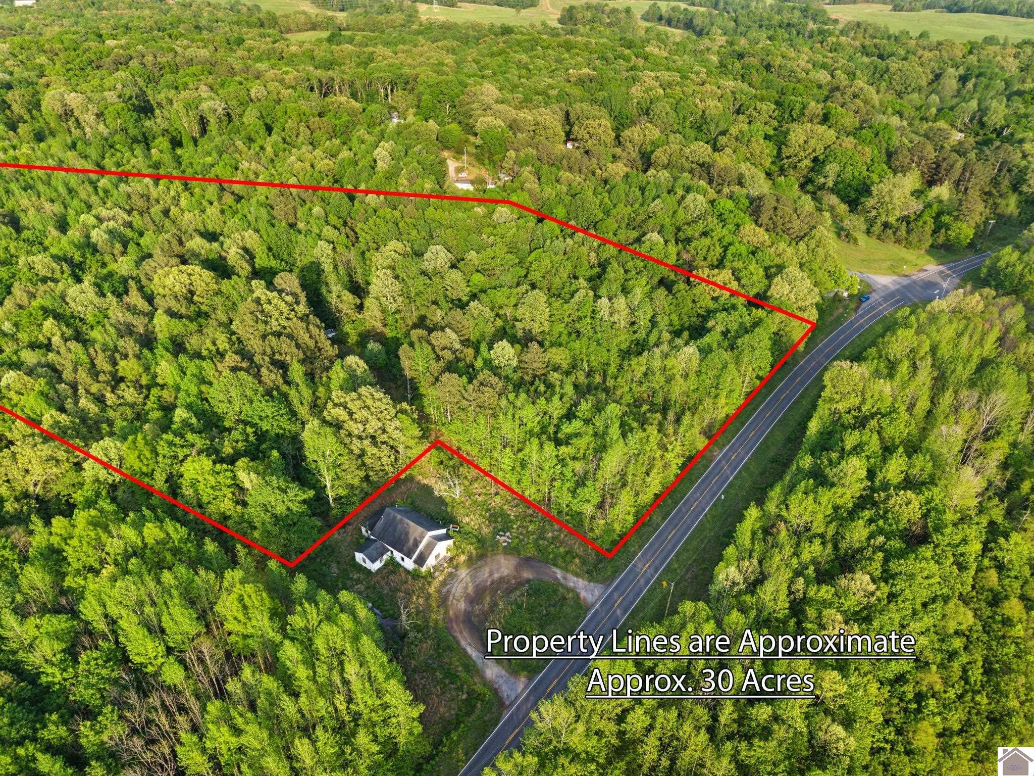 State Route 97, Farmington, KY 42040 Listing Photo  3