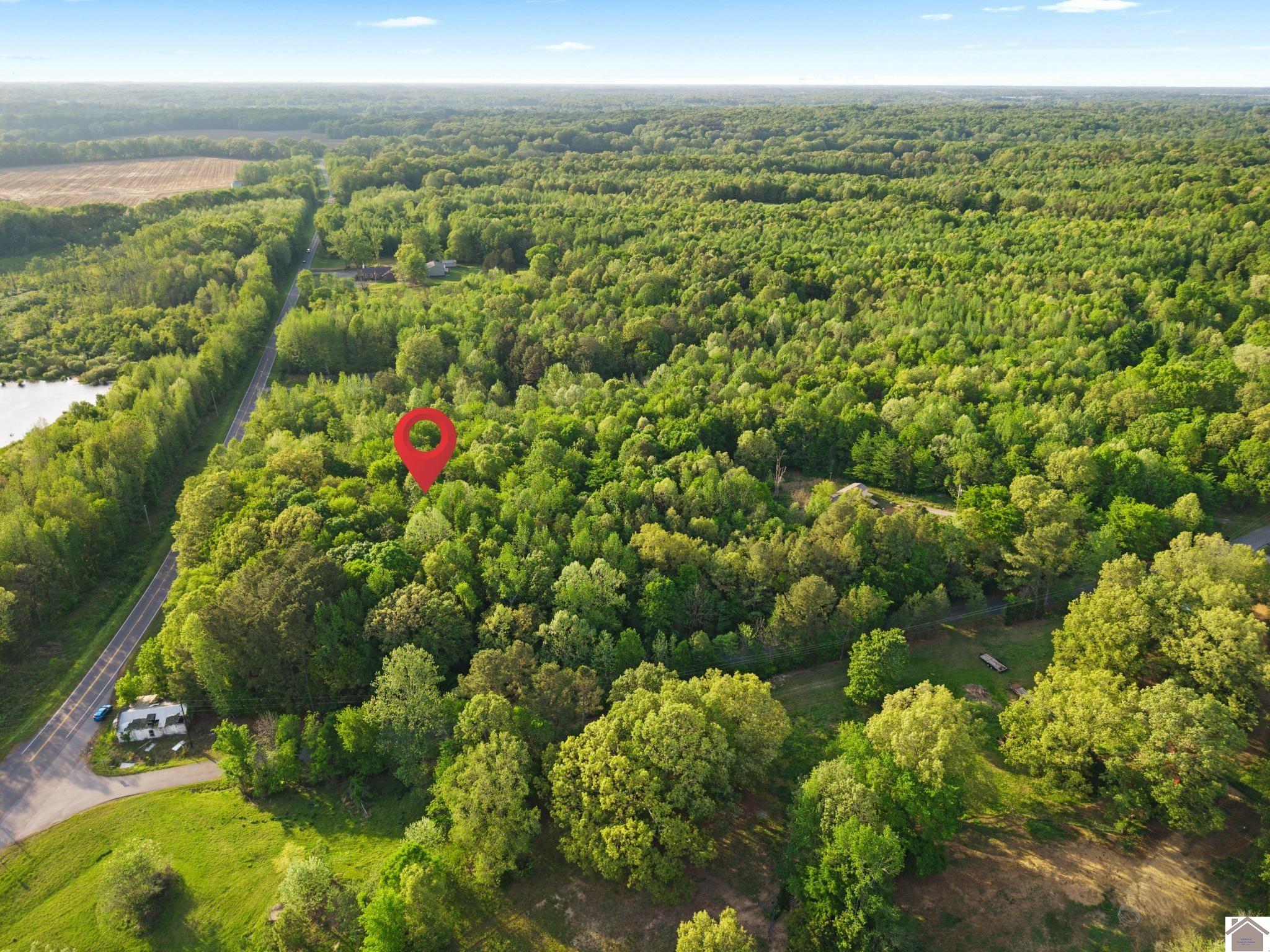 State Route 97, Farmington, KY 42040 Listing Photo  6