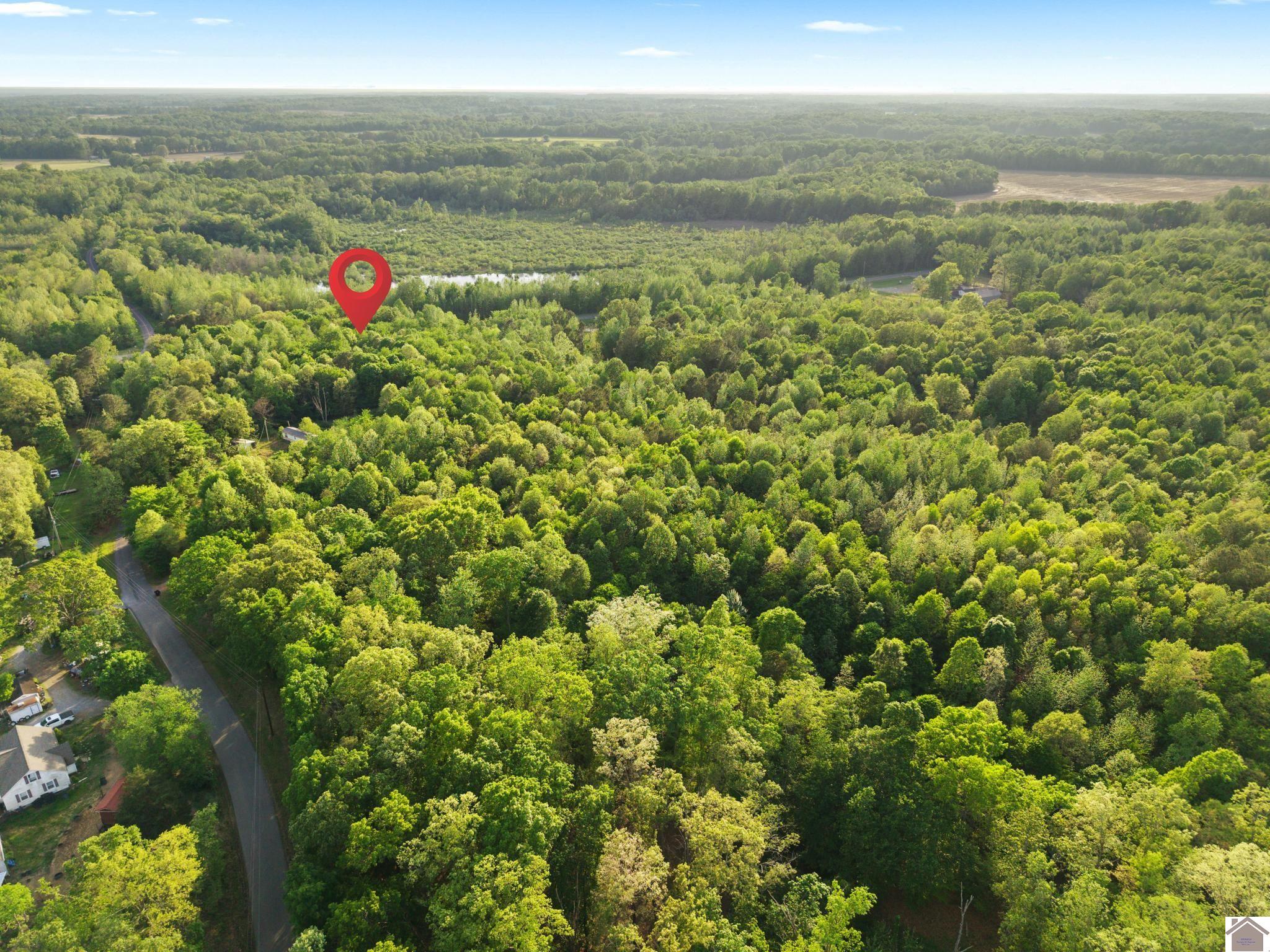 State Route 97, Farmington, KY 42040 Listing Photo  7