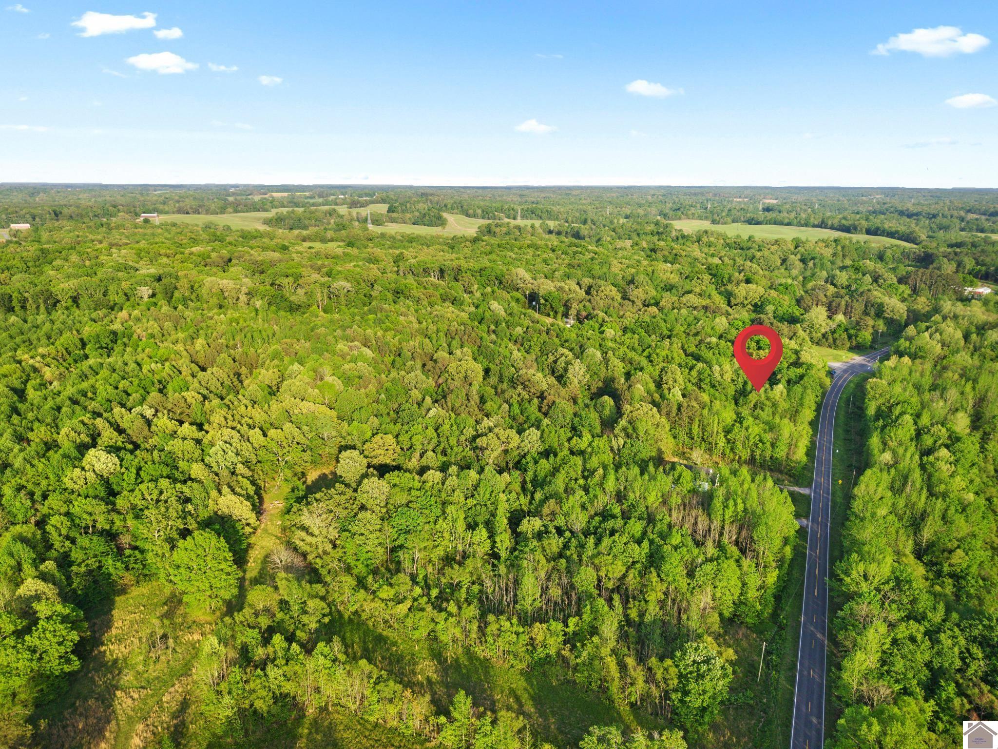 State Route 97, Farmington, KY 42040 Listing Photo  8
