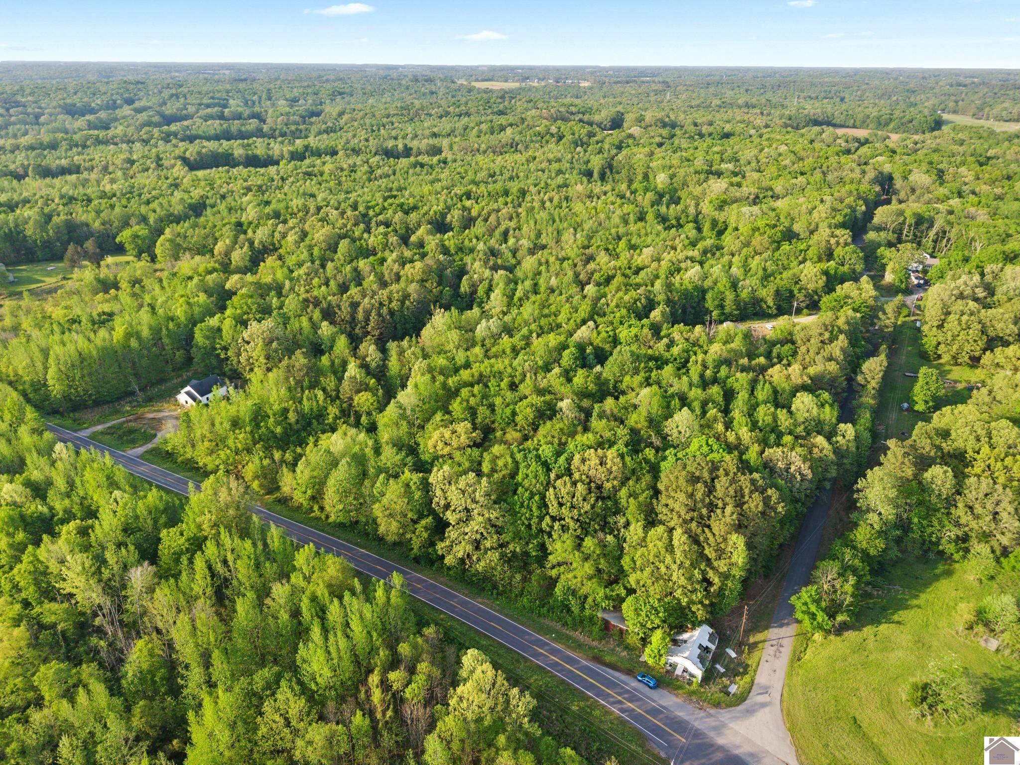 State Route 97, Farmington, KY 42040 Listing Photo  9