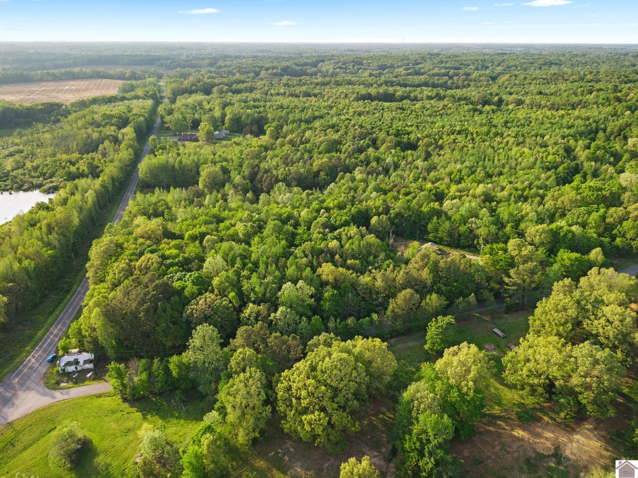 State Route 97, Farmington, KY 42040 Listing Photo  10