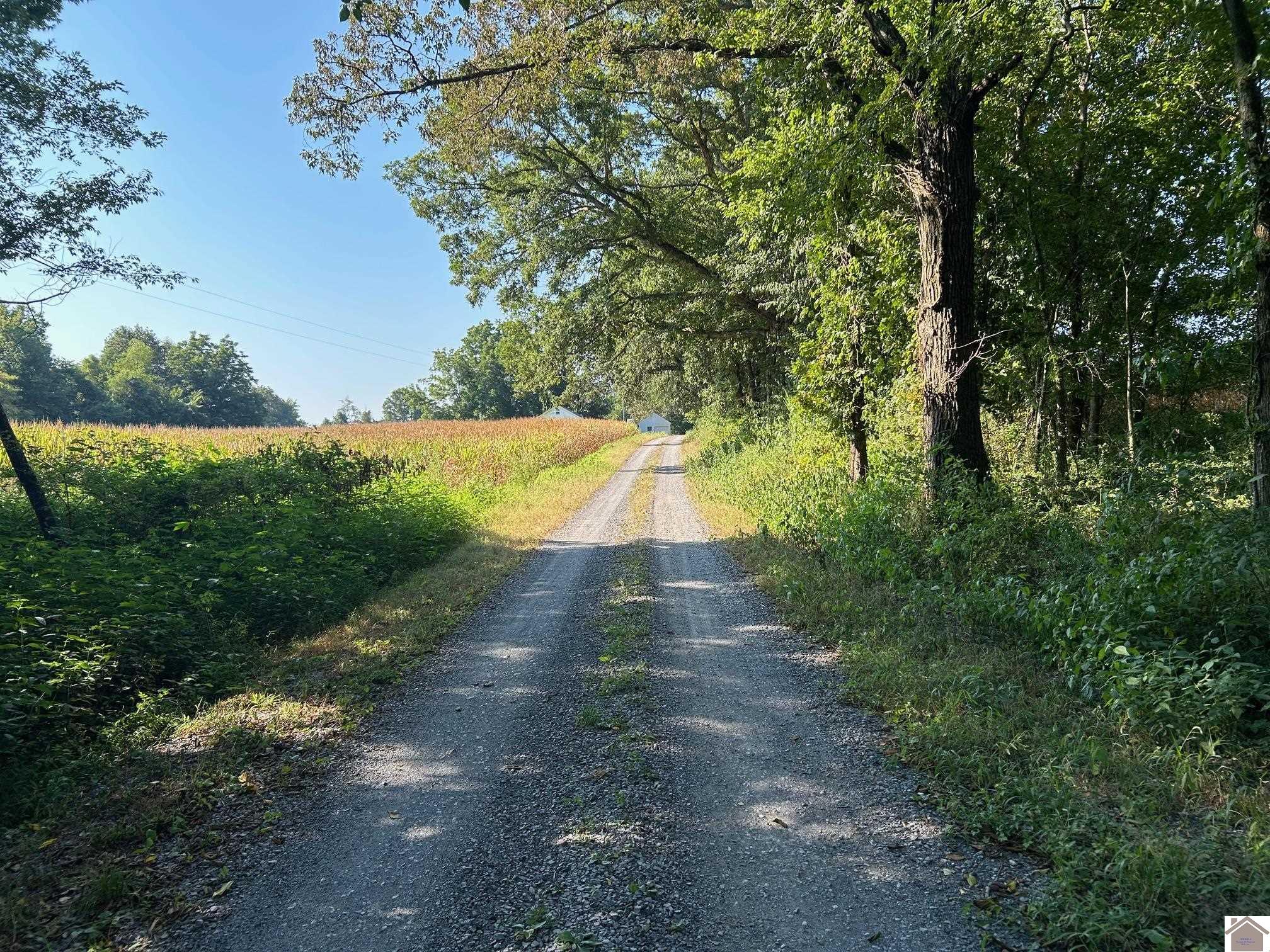 000 Arnett Lane, Murray, KY 42071 Listing Photo  1