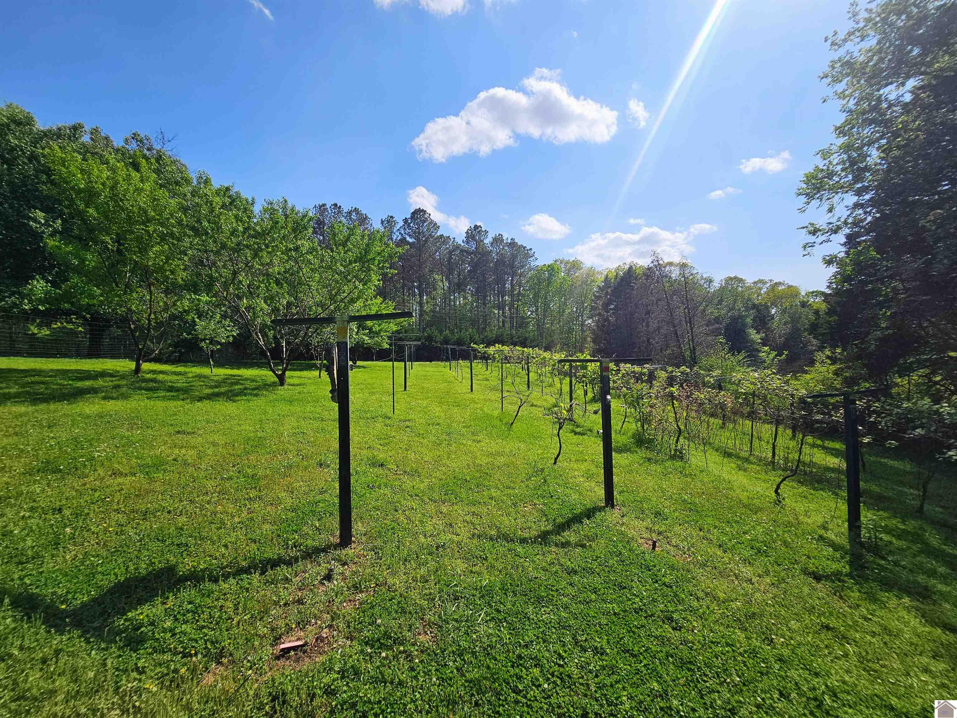 4254 shoemaker rd, Hazel, KY 42049 Listing Photo  11
