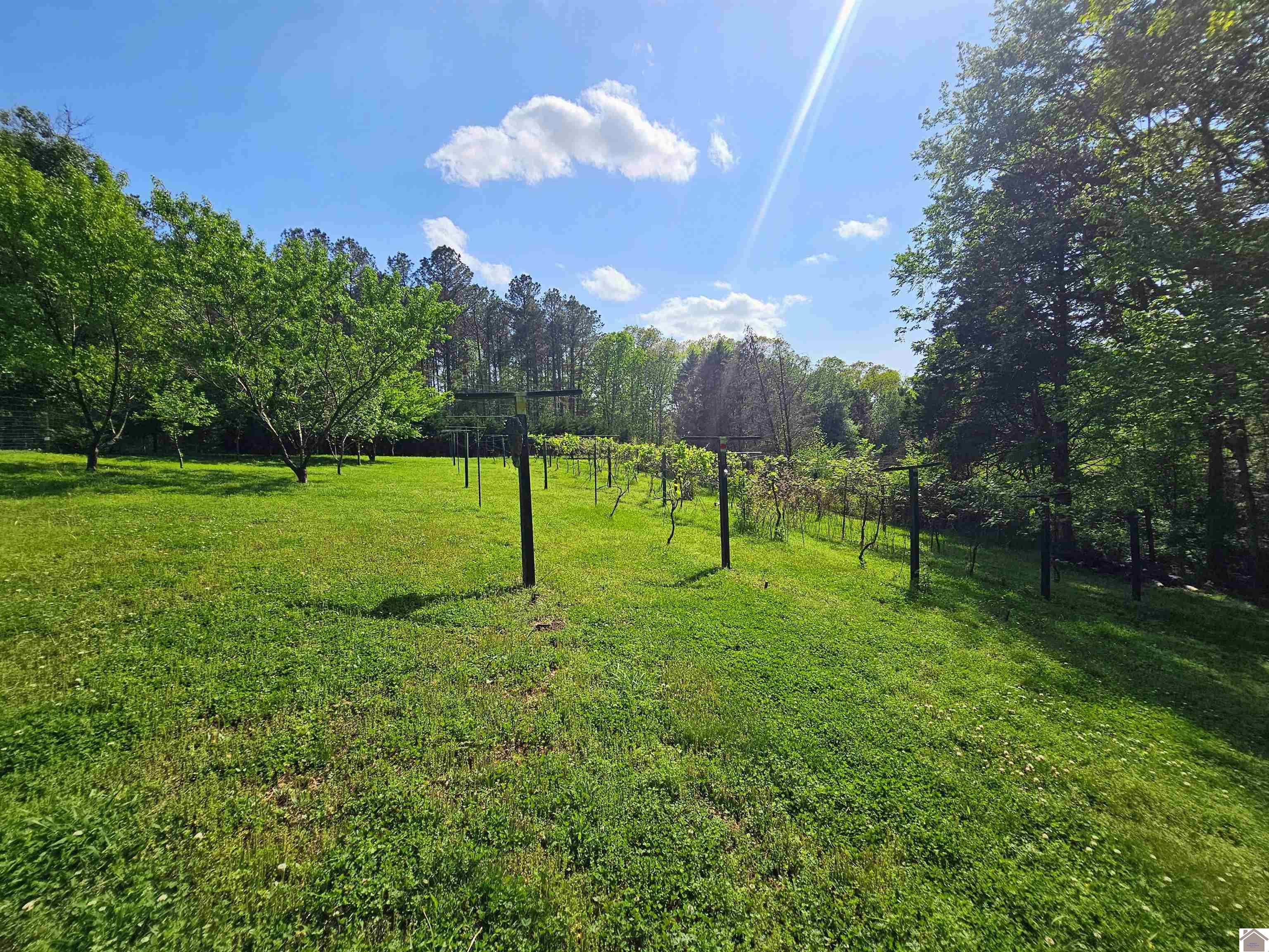 4254 shoemaker rd, Hazel, KY 42049 Listing Photo  12