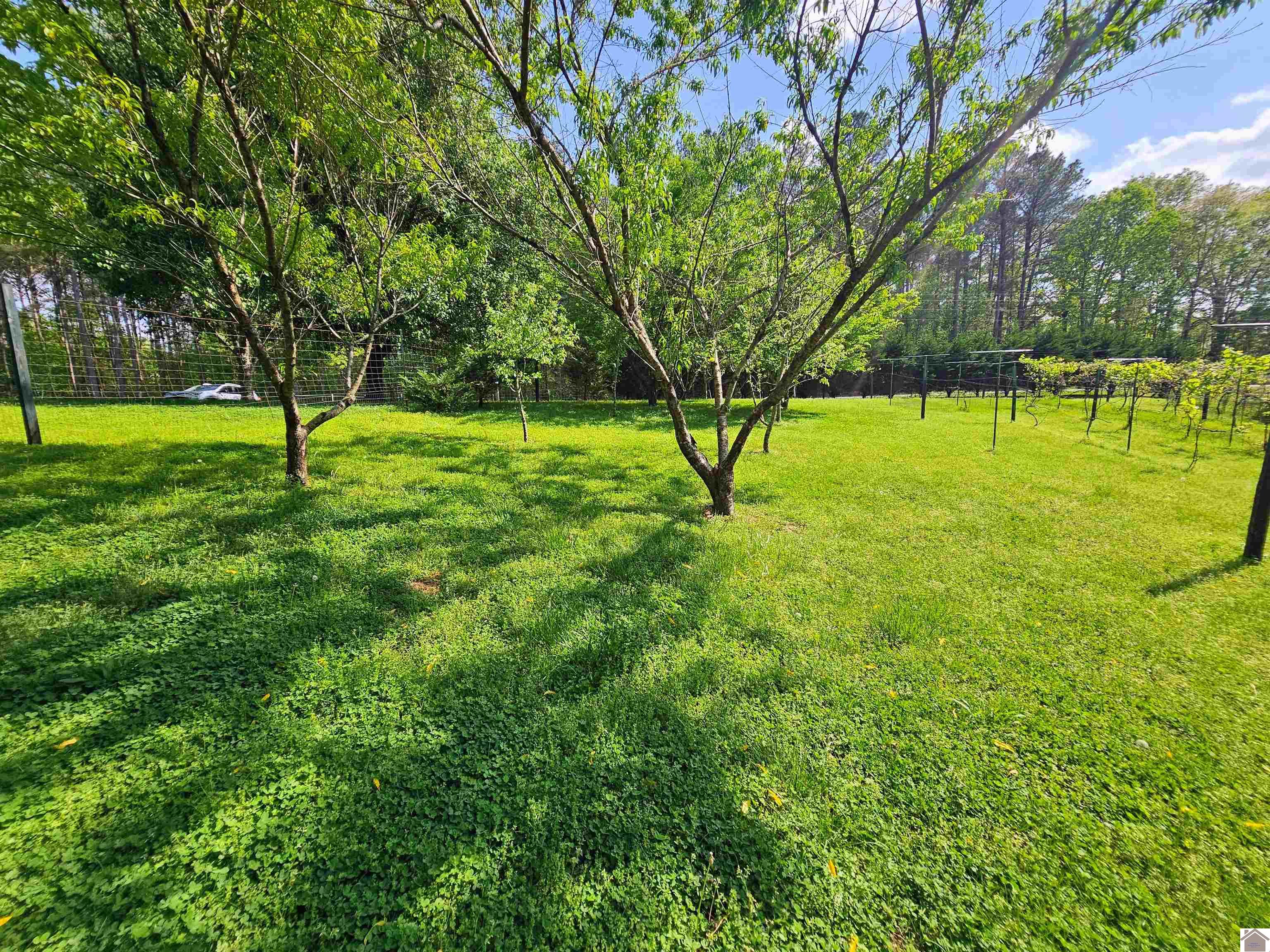 4254 shoemaker rd, Hazel, KY 42049 Listing Photo  13