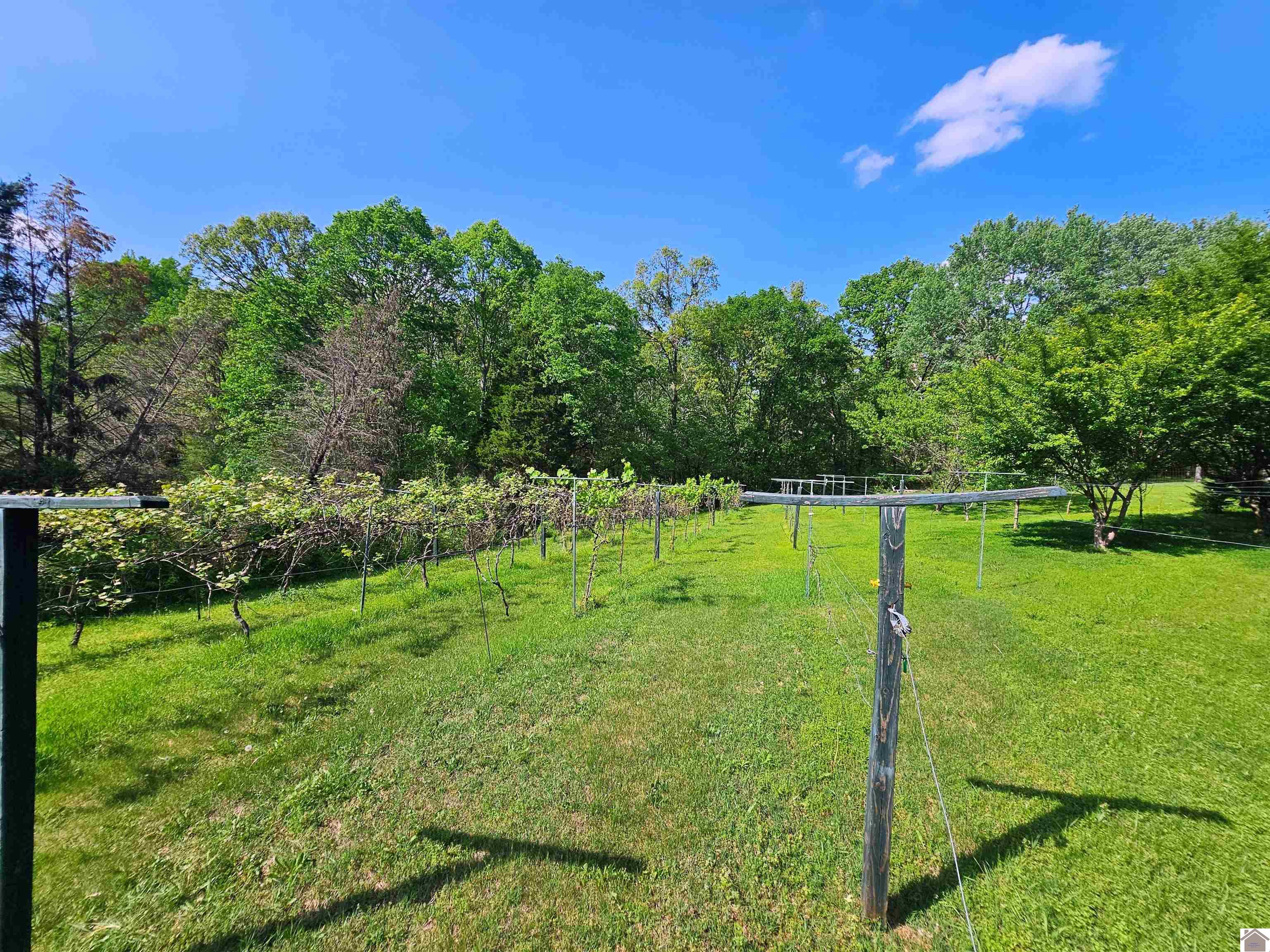 4254 shoemaker rd, Hazel, KY 42049 Listing Photo  14