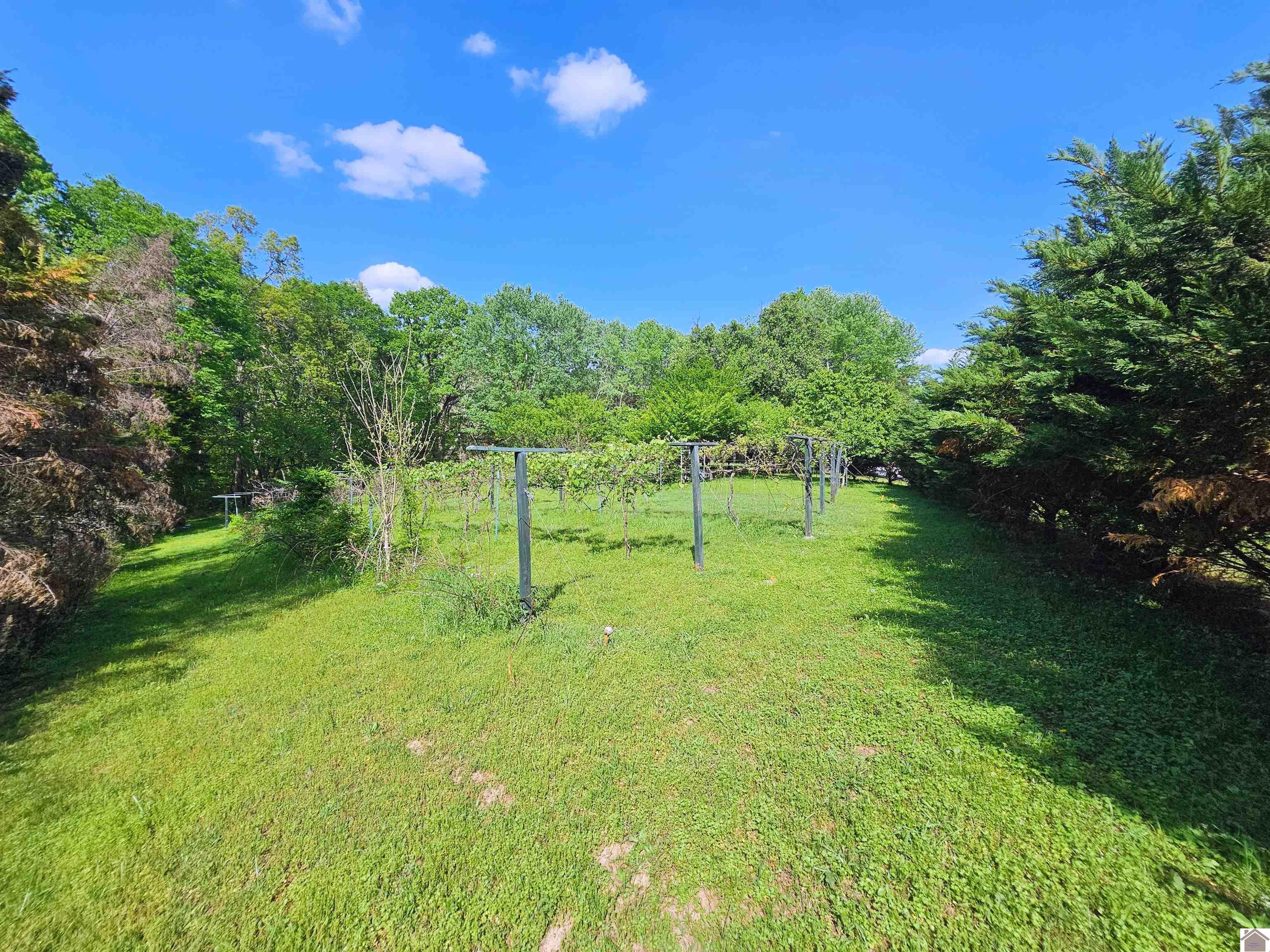 4254 shoemaker rd, Hazel, KY 42049 Listing Photo  15
