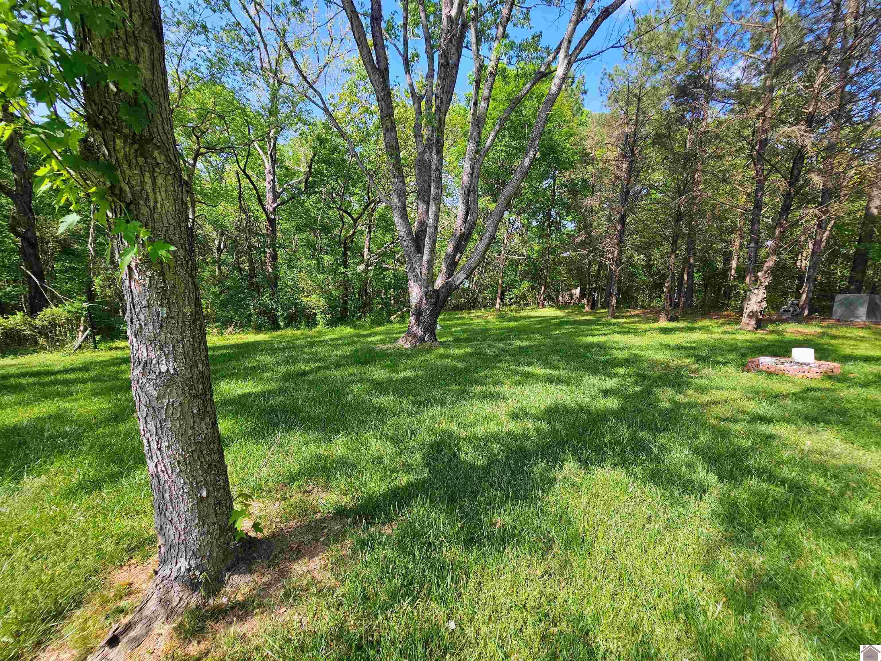 4254 shoemaker rd, Hazel, KY 42049 Listing Photo  17