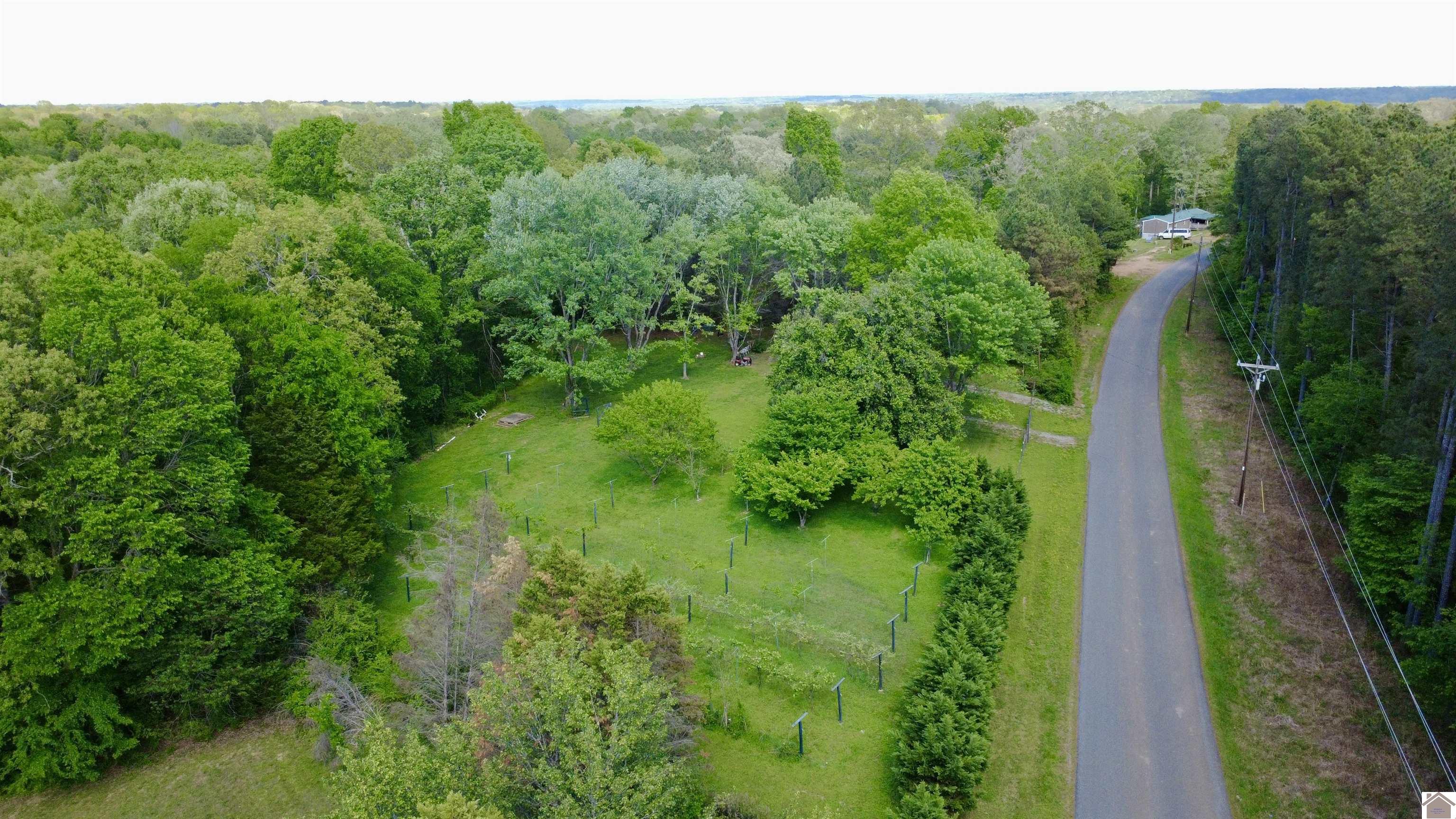 4254 shoemaker rd, Hazel, KY 42049 Listing Photo  18