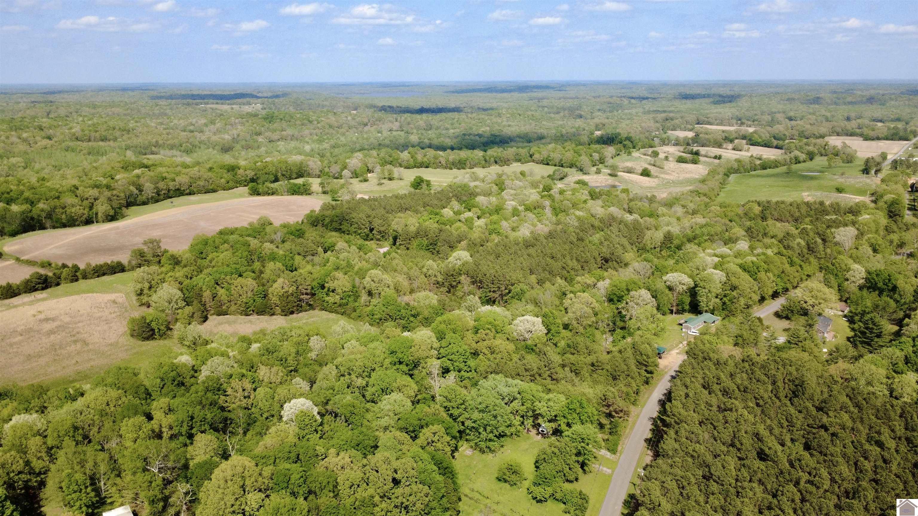 4254 shoemaker rd, Hazel, KY 42049 Listing Photo  29