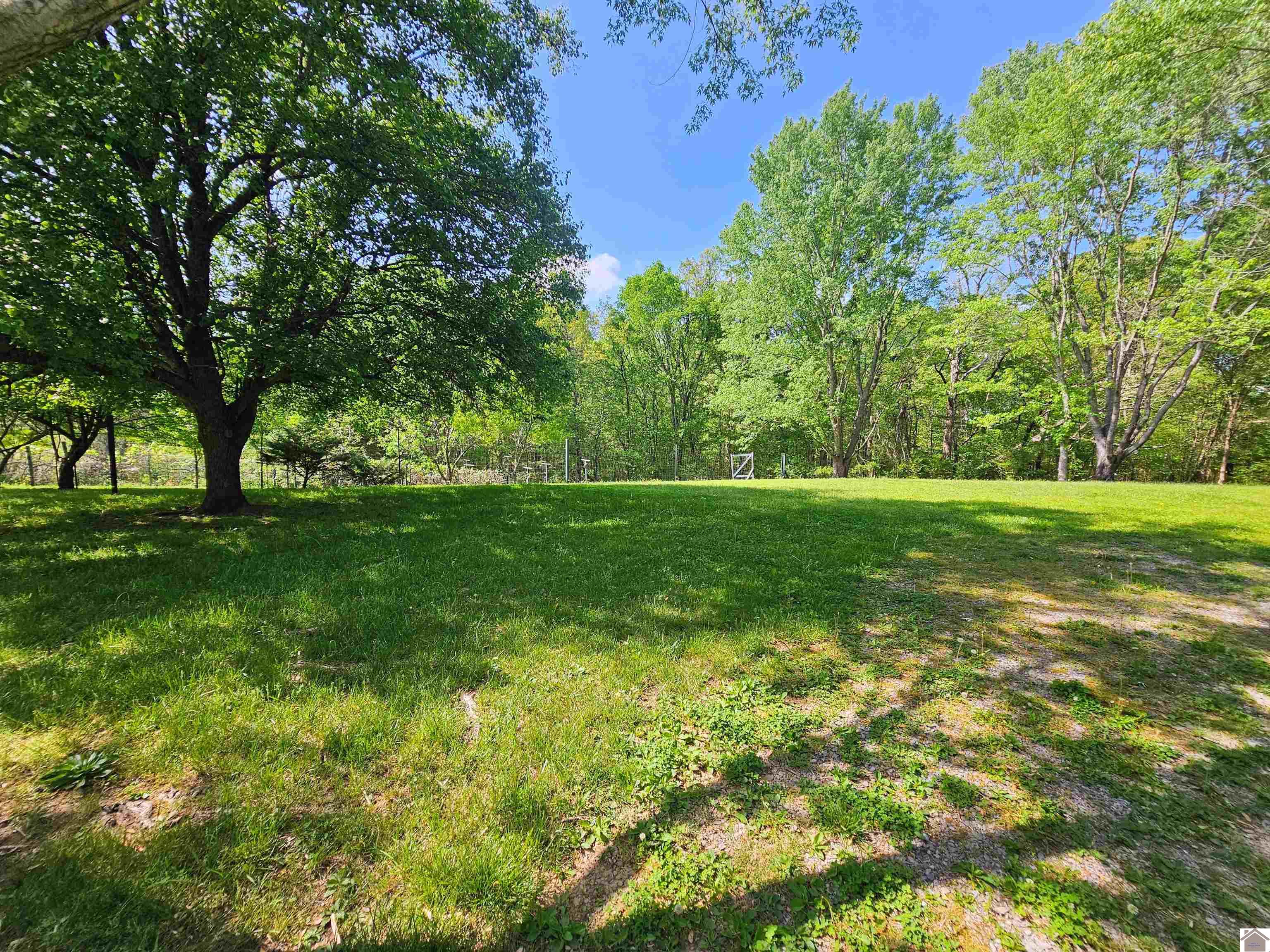 4254 shoemaker rd, Hazel, KY 42049 Listing Photo  4