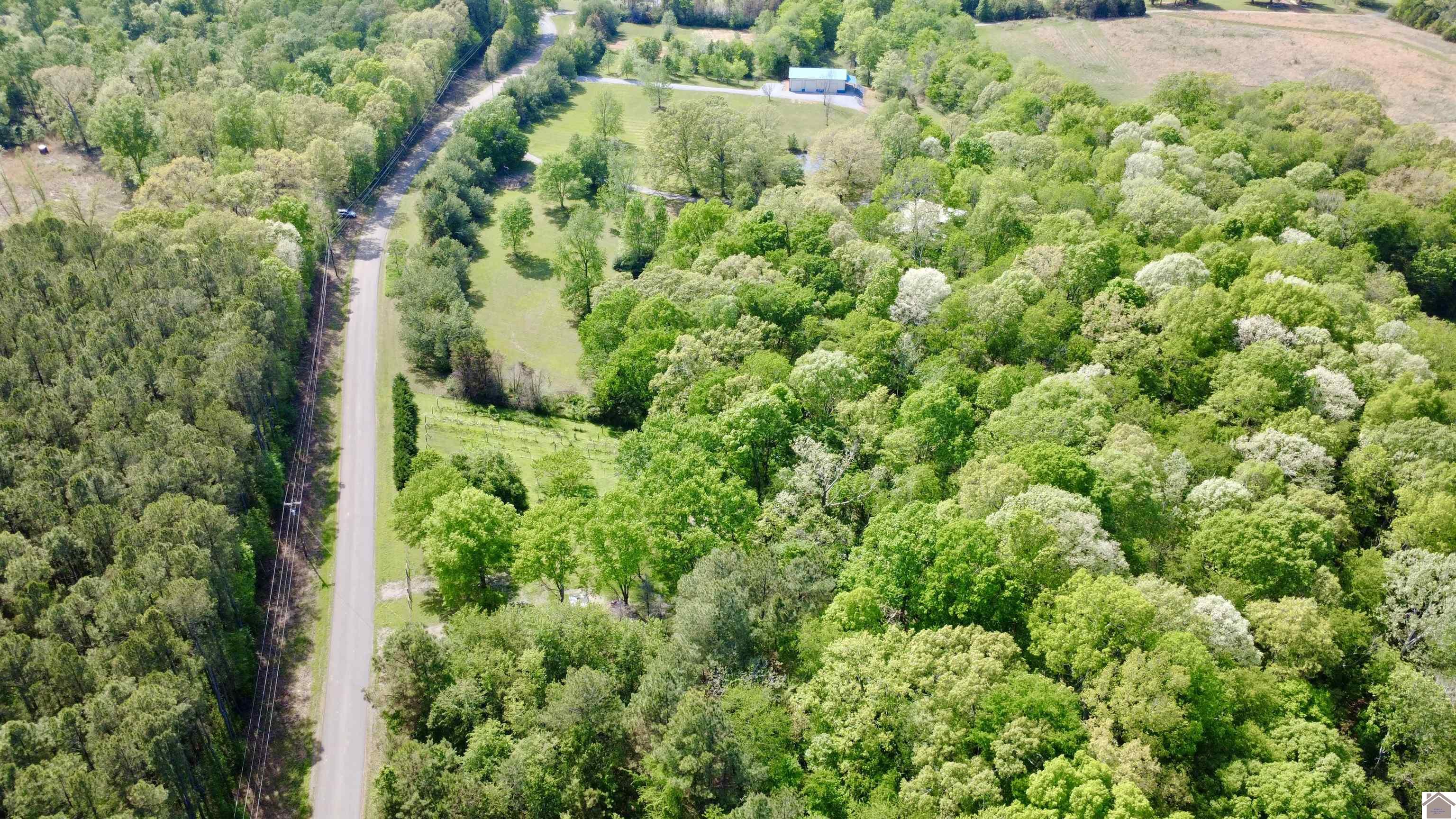 4254 shoemaker rd, Hazel, KY 42049 Listing Photo  31