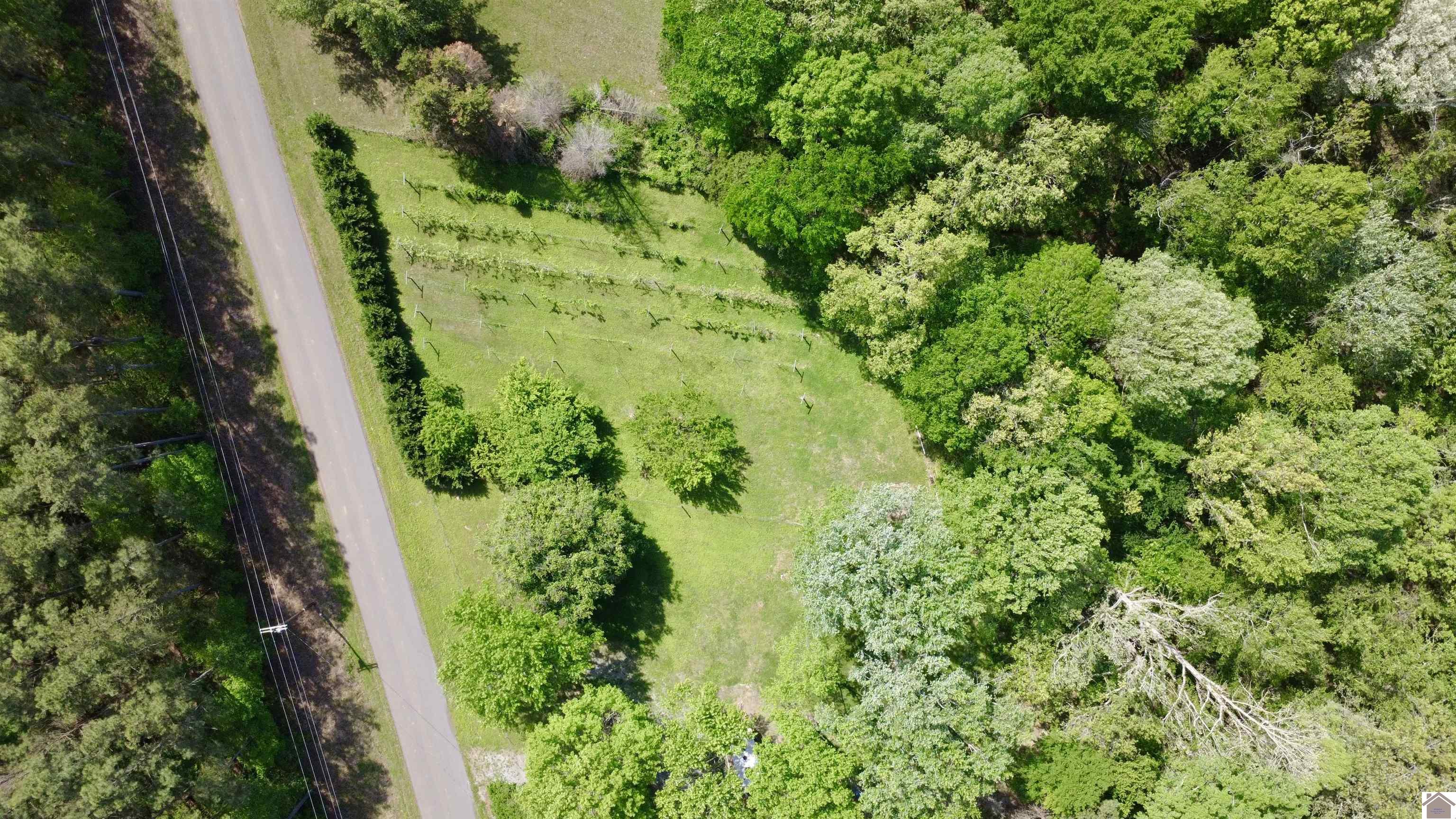 4254 shoemaker rd, Hazel, KY 42049 Listing Photo  32