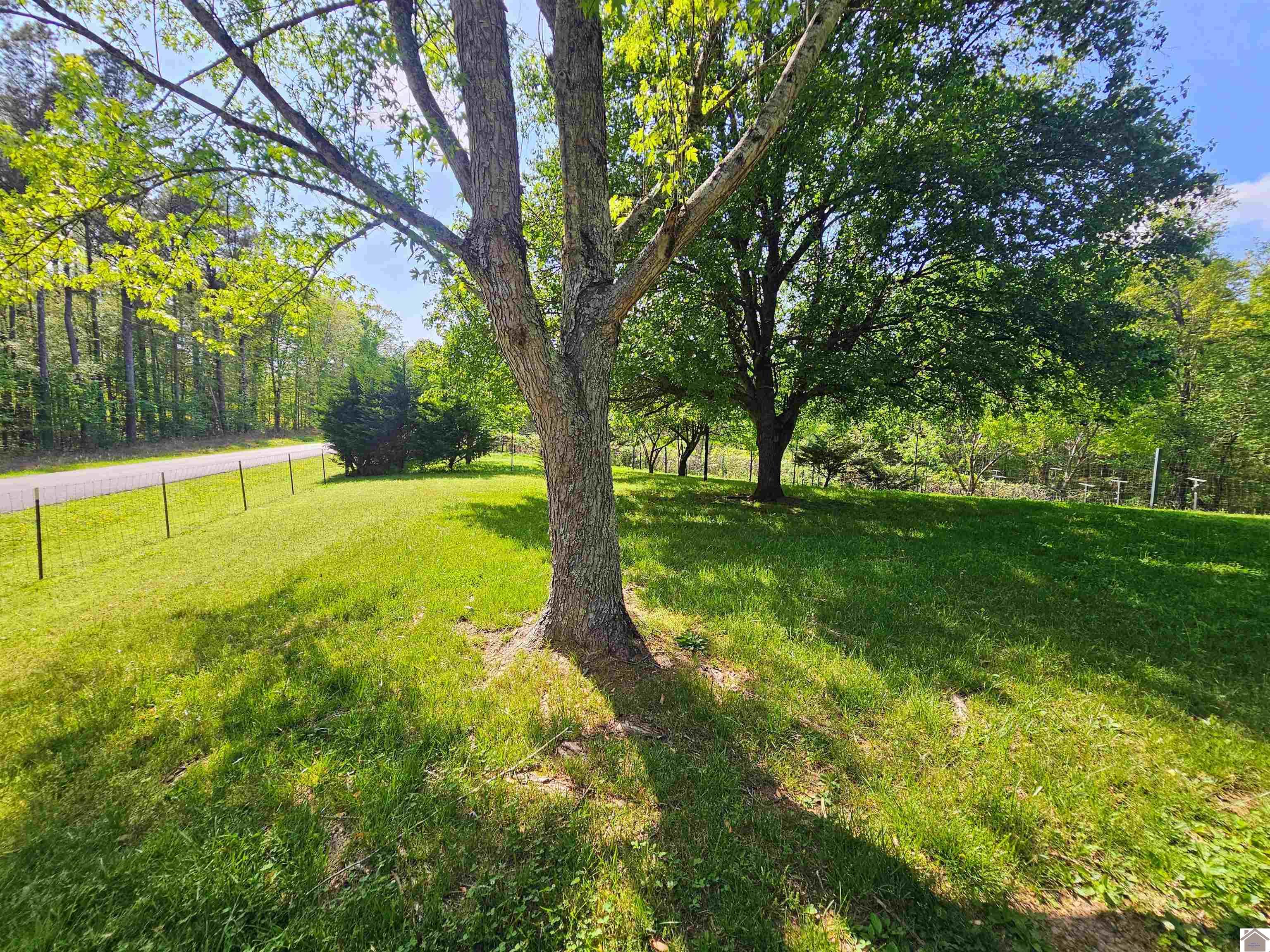 4254 shoemaker rd, Hazel, KY 42049 Listing Photo  5