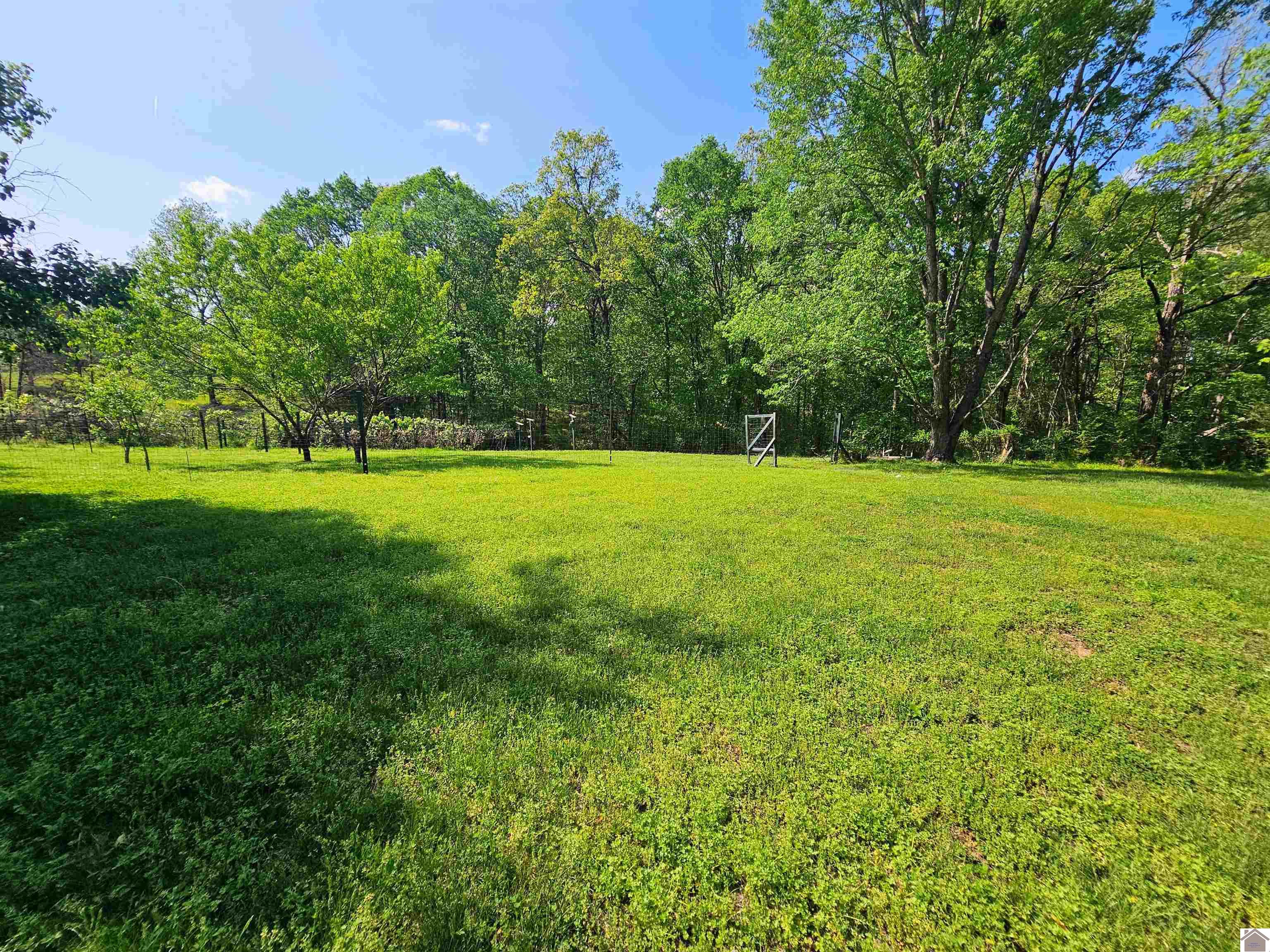 4254 shoemaker rd, Hazel, KY 42049 Listing Photo  6