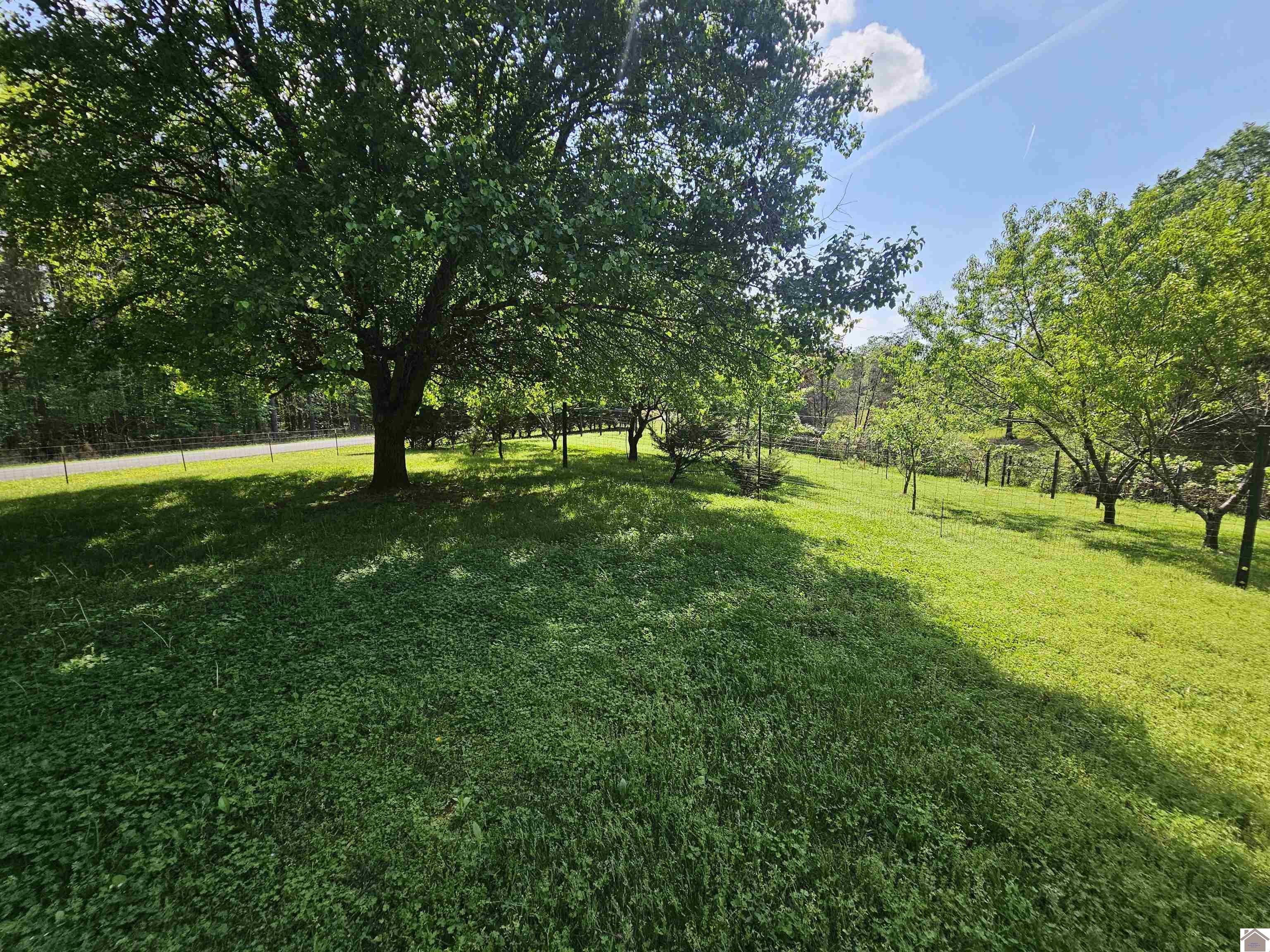 4254 shoemaker rd, Hazel, KY 42049 Listing Photo  7