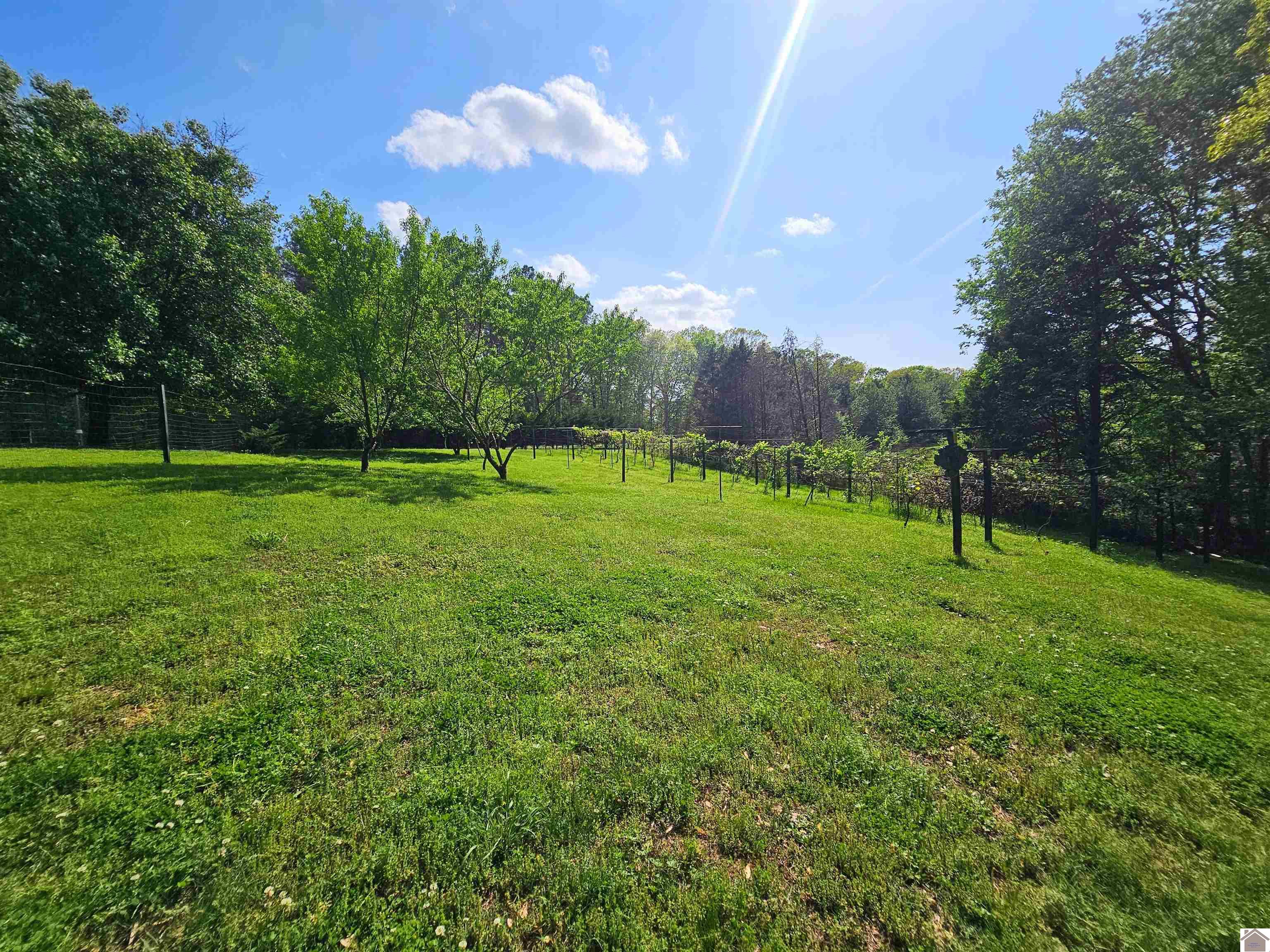 4254 shoemaker rd, Hazel, KY 42049 Listing Photo  10