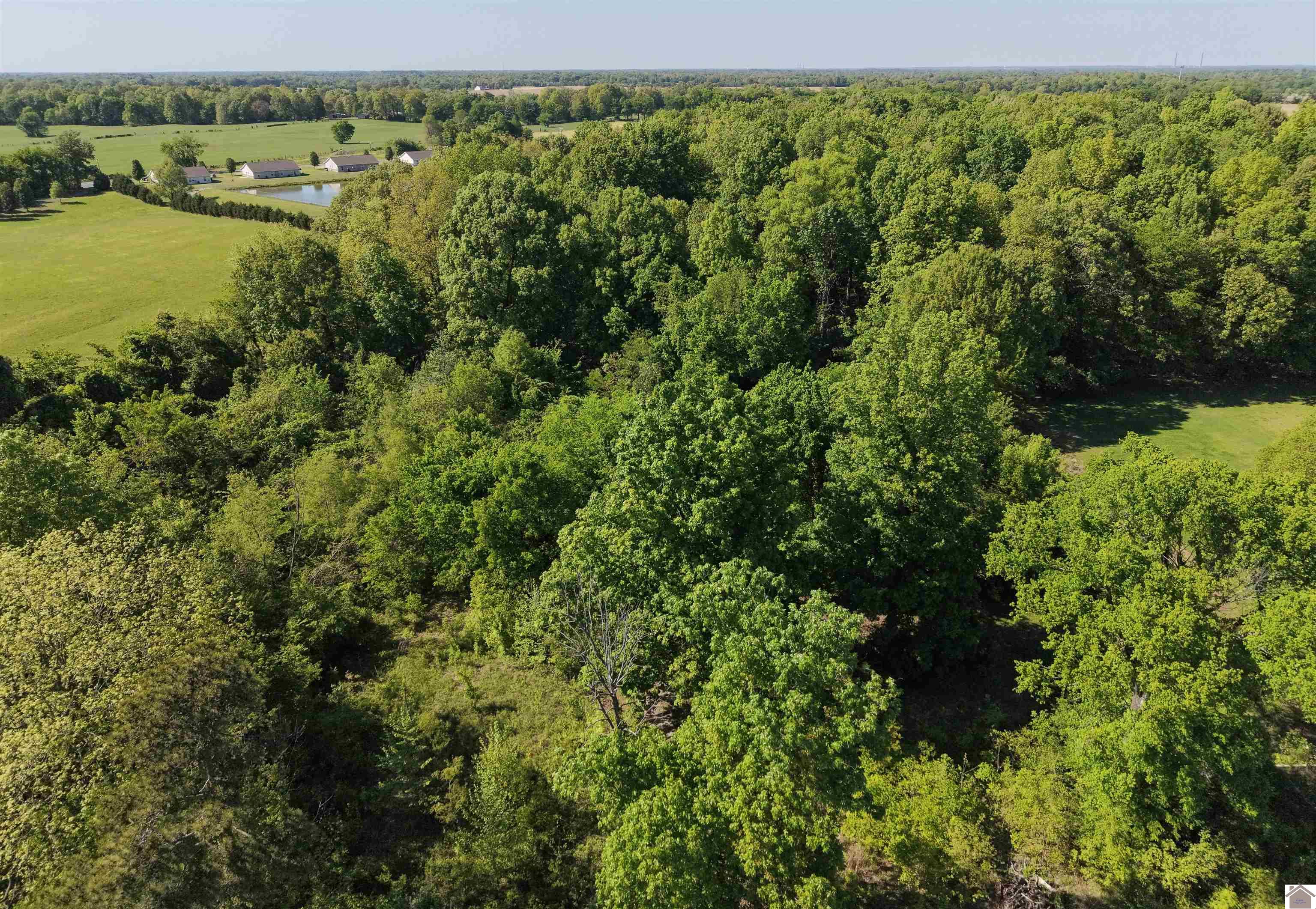 8855 Harris Rd, Paducah, KY 42001 Listing Photo  13