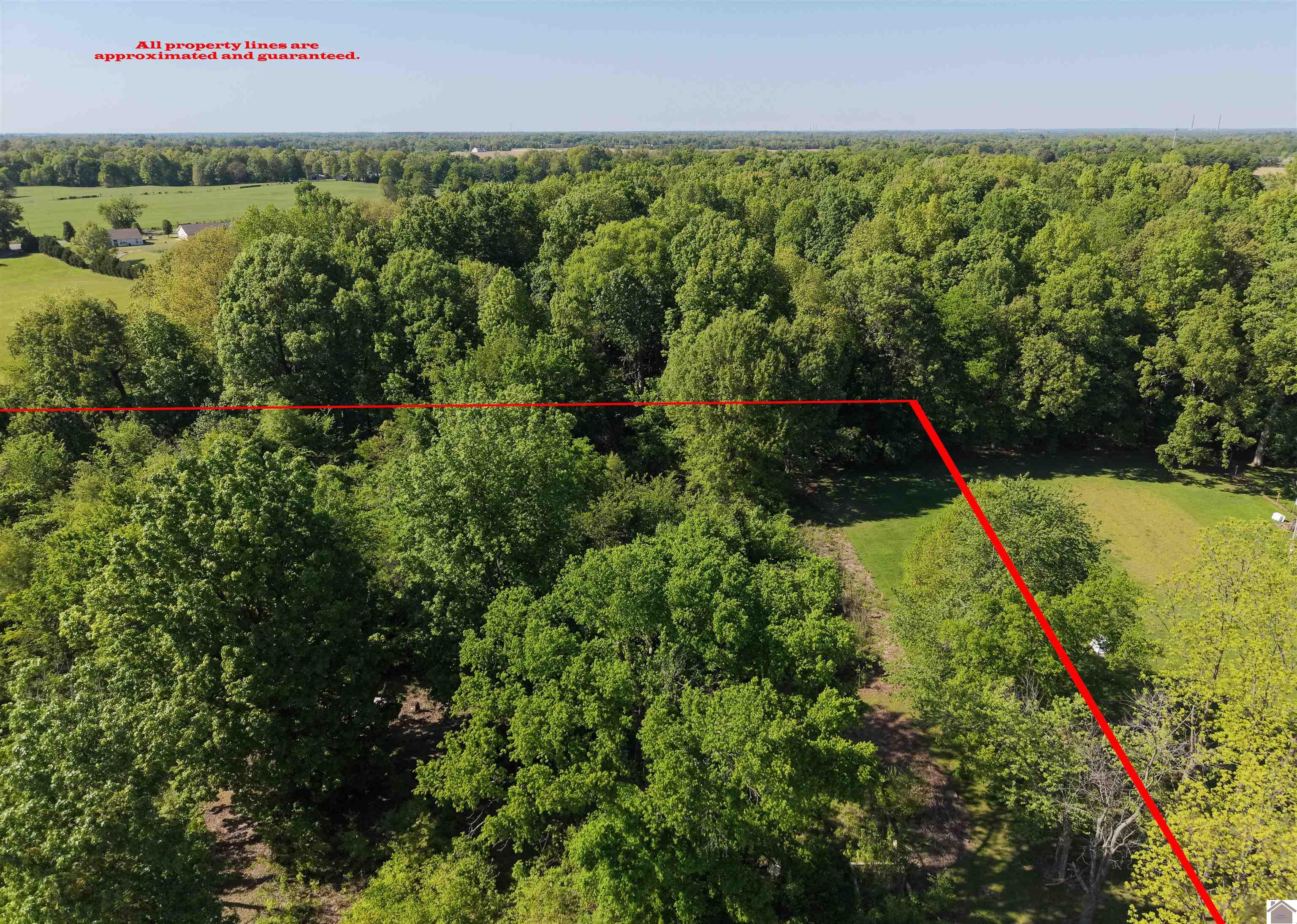 8855 Harris Rd, Paducah, KY 42001 Listing Photo  4