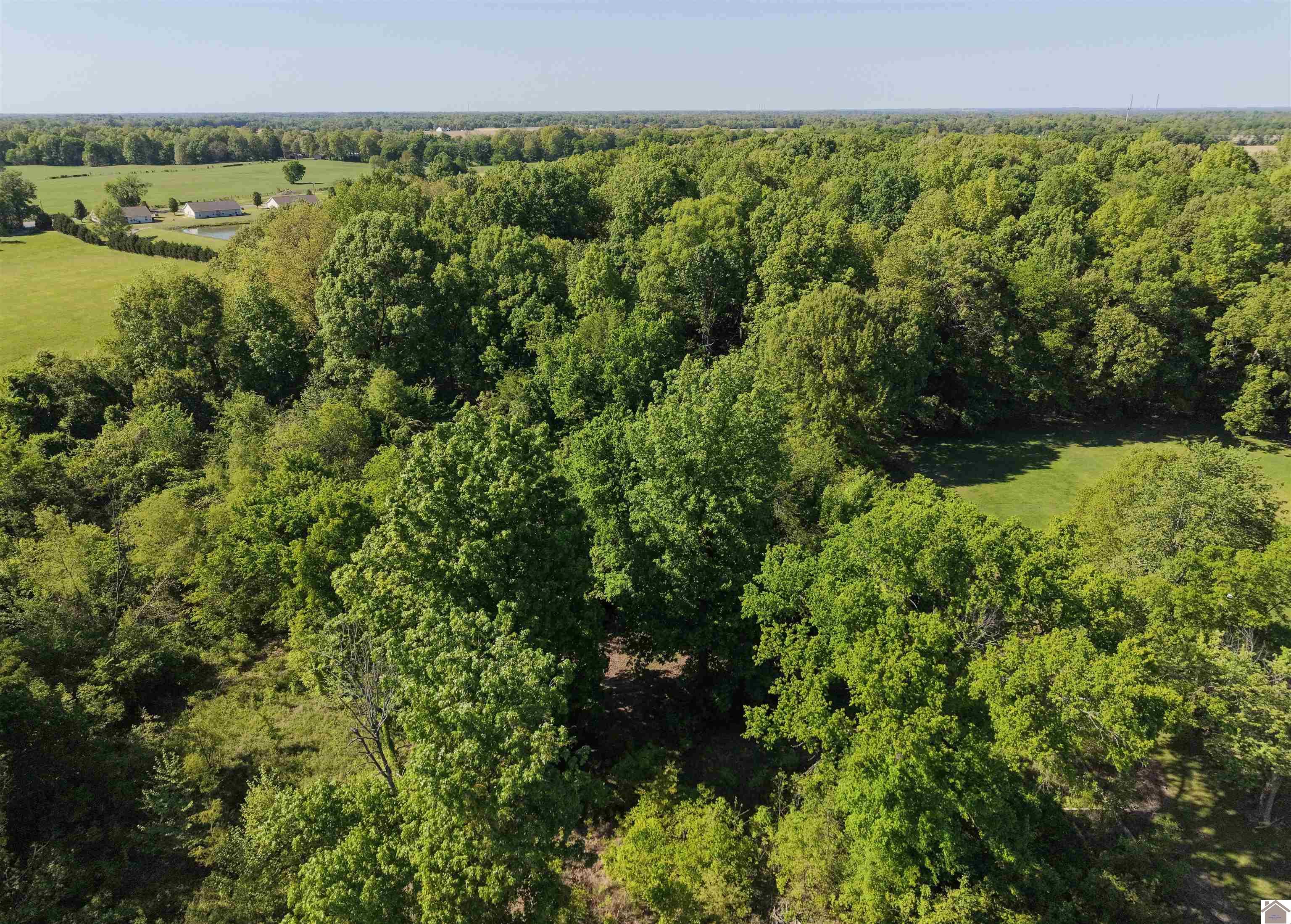 8855 Harris Rd, Paducah, KY 42001 Listing Photo  5
