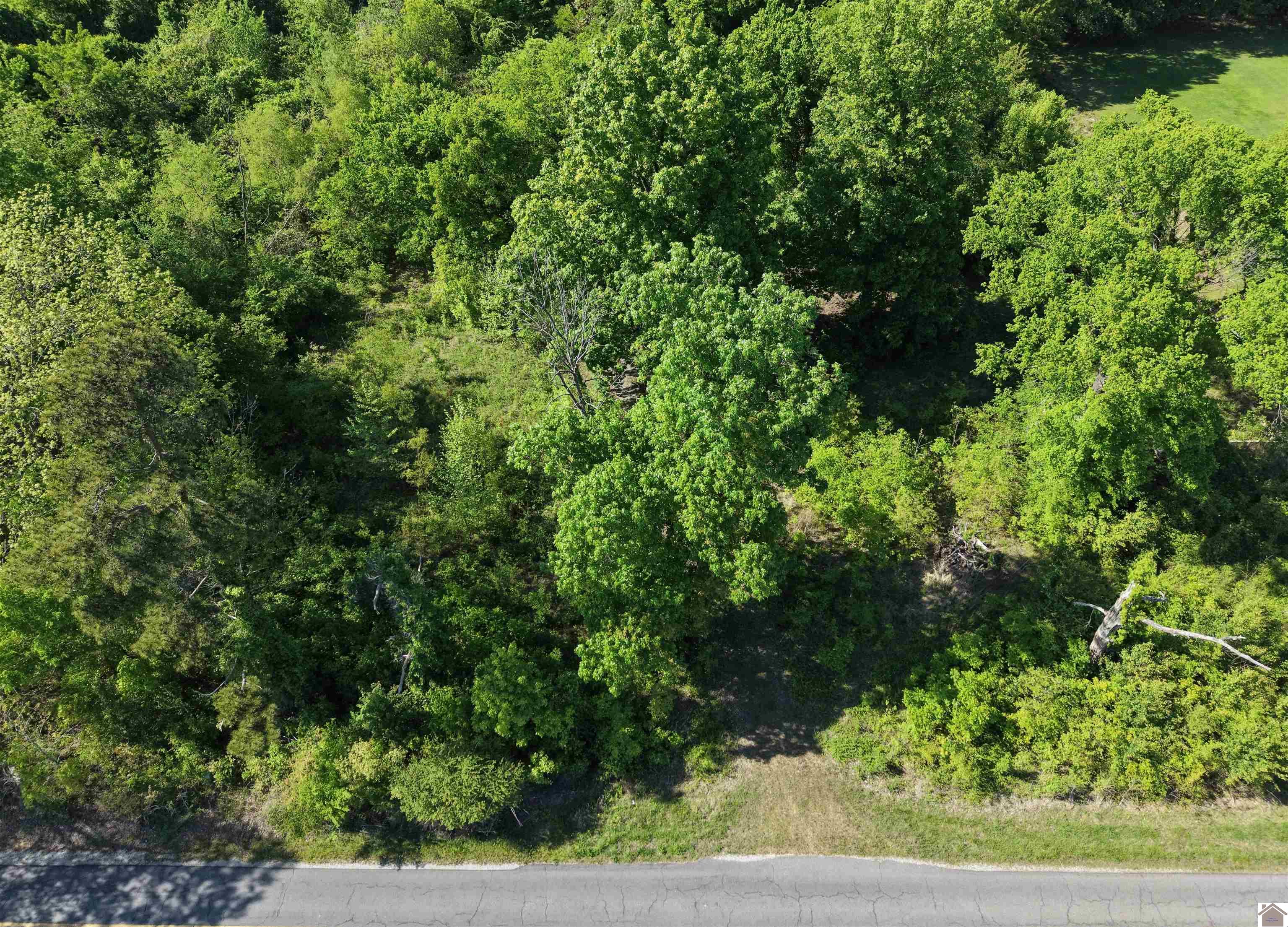 8855 Harris Rd, Paducah, KY 42001 Listing Photo  7