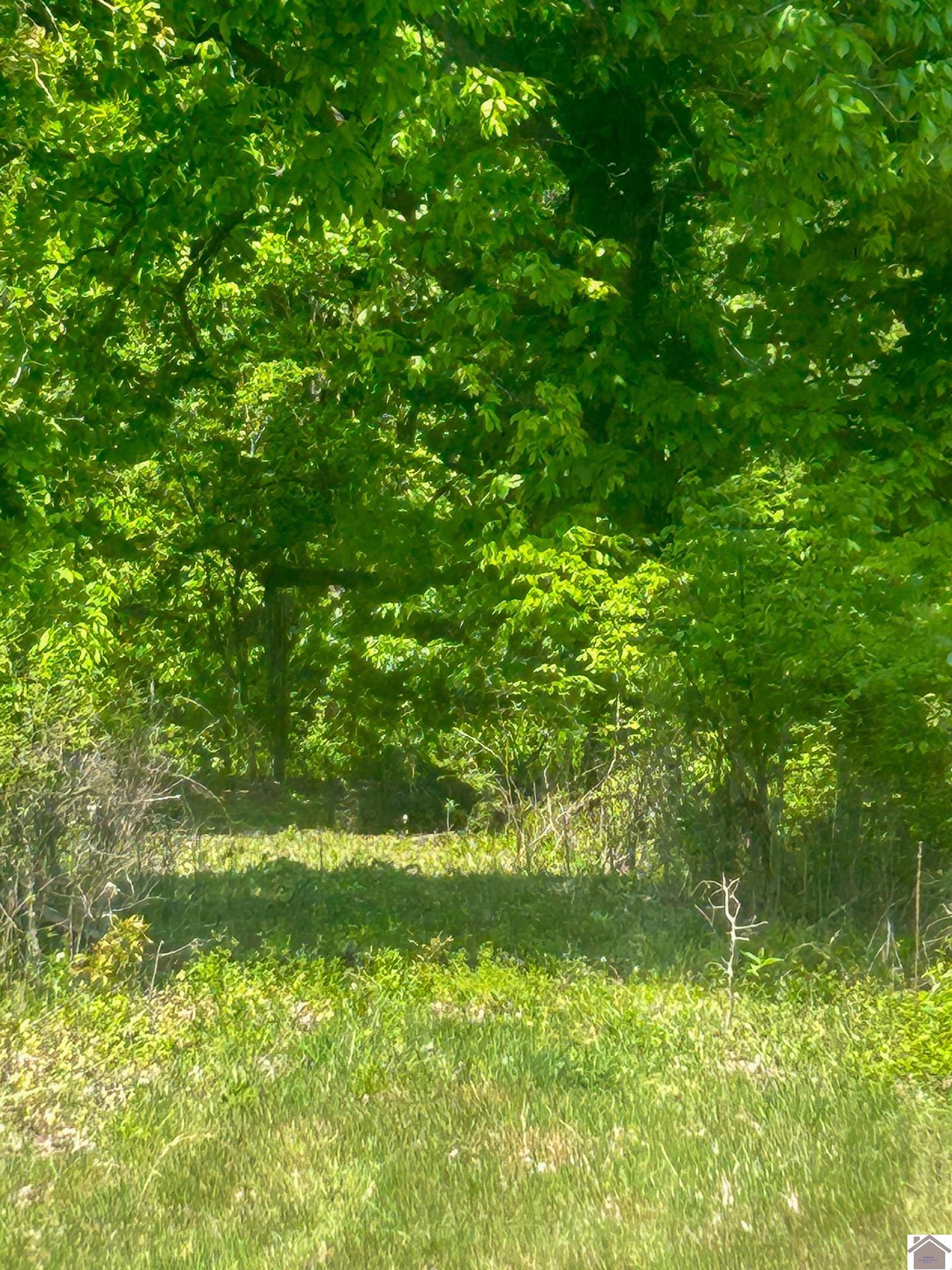 8855 Harris Rd, Paducah, KY 42001 Listing Photo  10