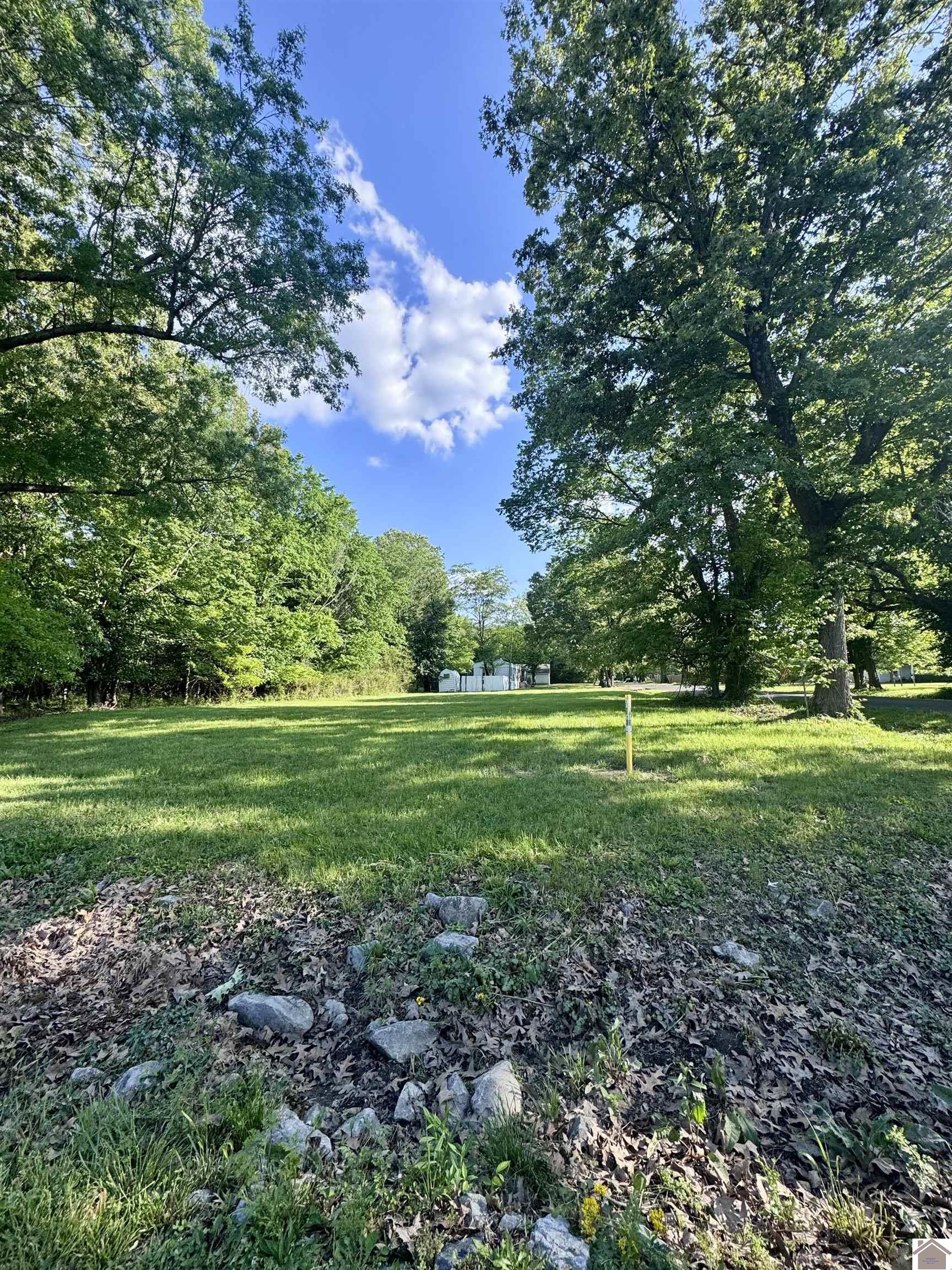 3100 Shelbourne Street, Paducah, KY 42003 Listing Photo  1