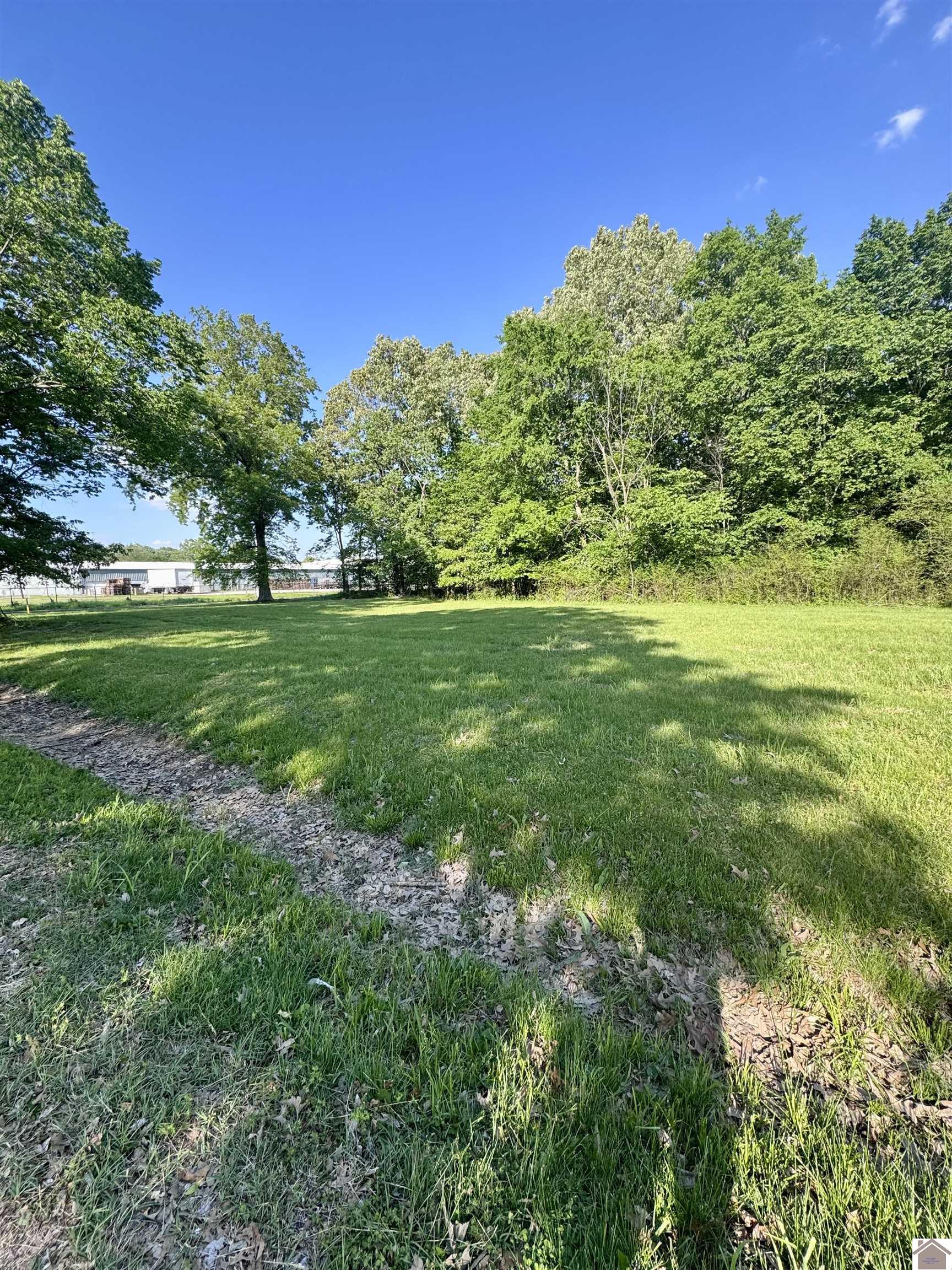 3100 Shelbourne Street, Paducah, KY 42003 Listing Photo  3