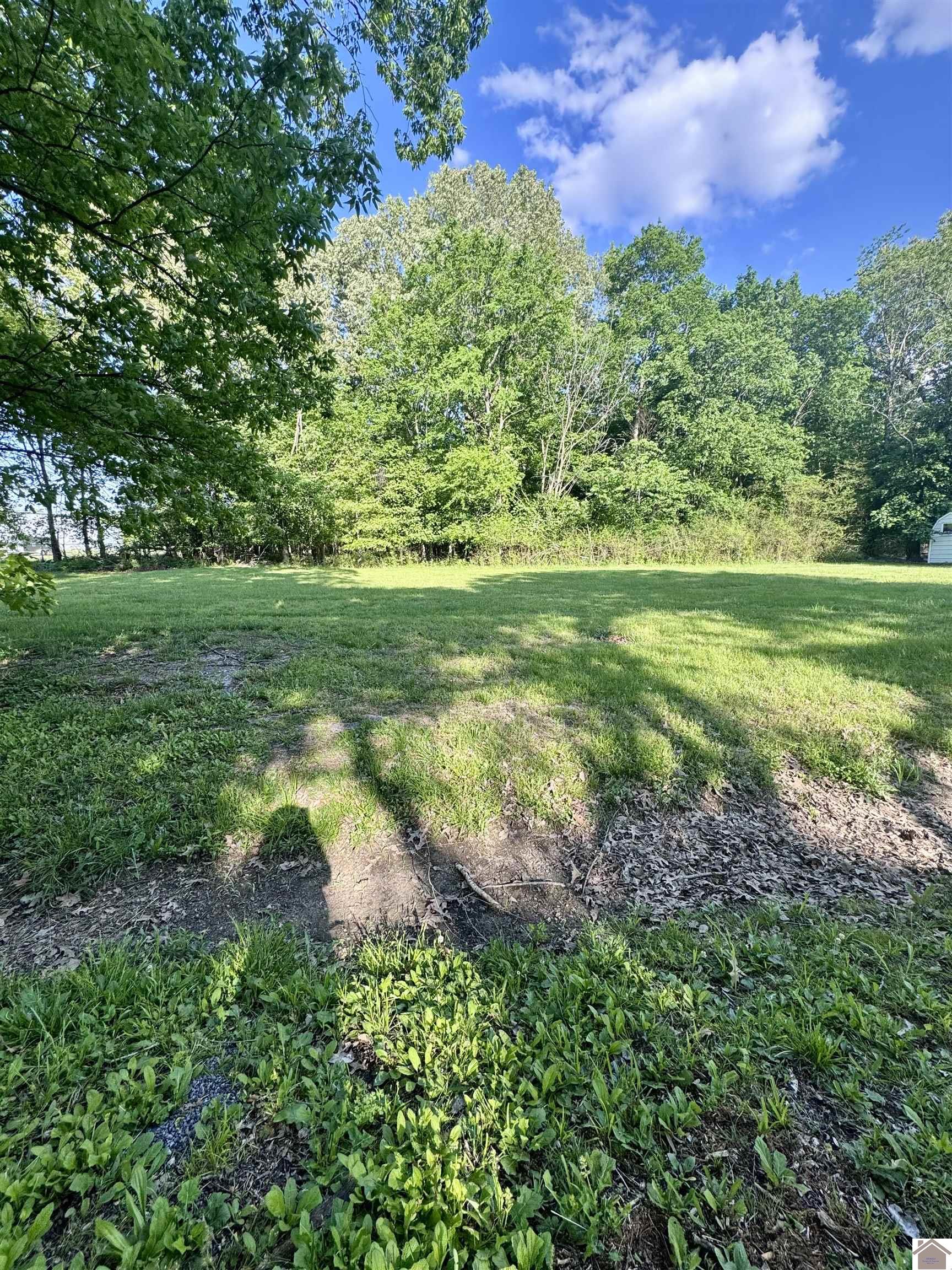 3100 Shelbourne Street, Paducah, KY 42003 Listing Photo  4