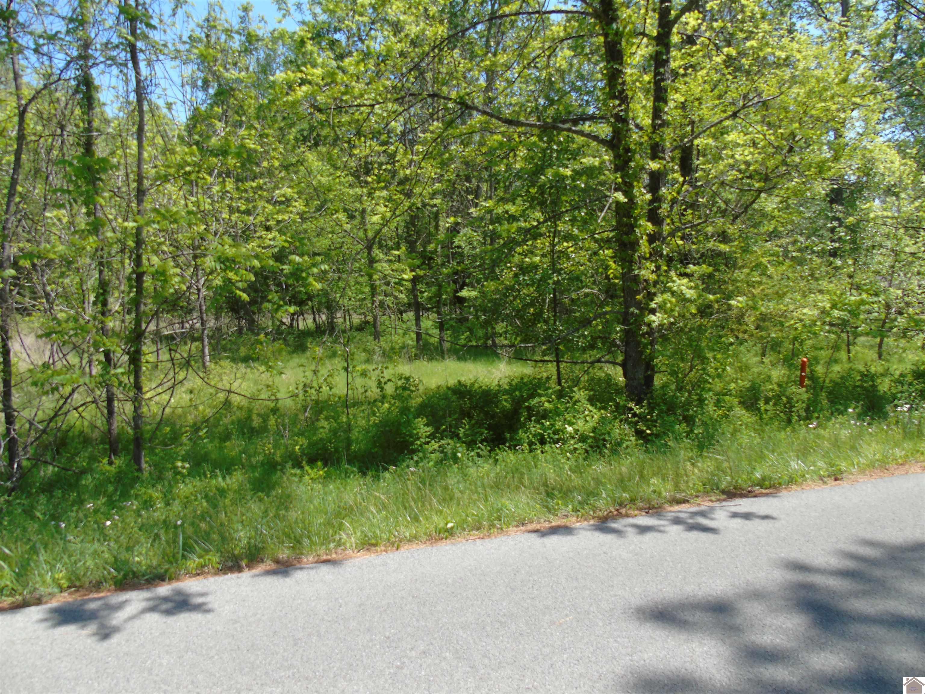 1000 Trigg Furance Road, Cadiz, KY 42211 Listing Photo  1