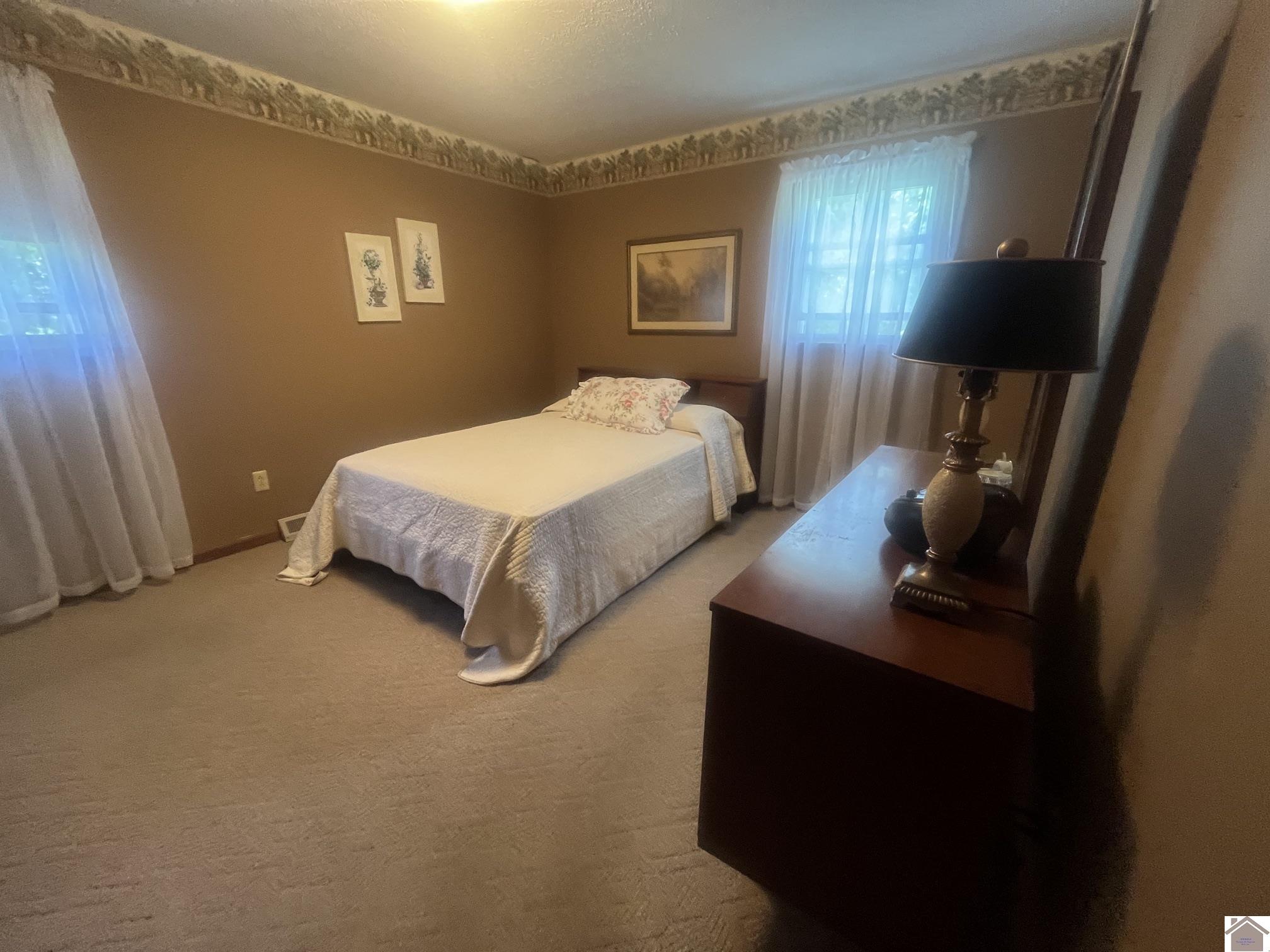 155 Shelby Dr, Wingo, KY 42088-9019 Listing Photo  16