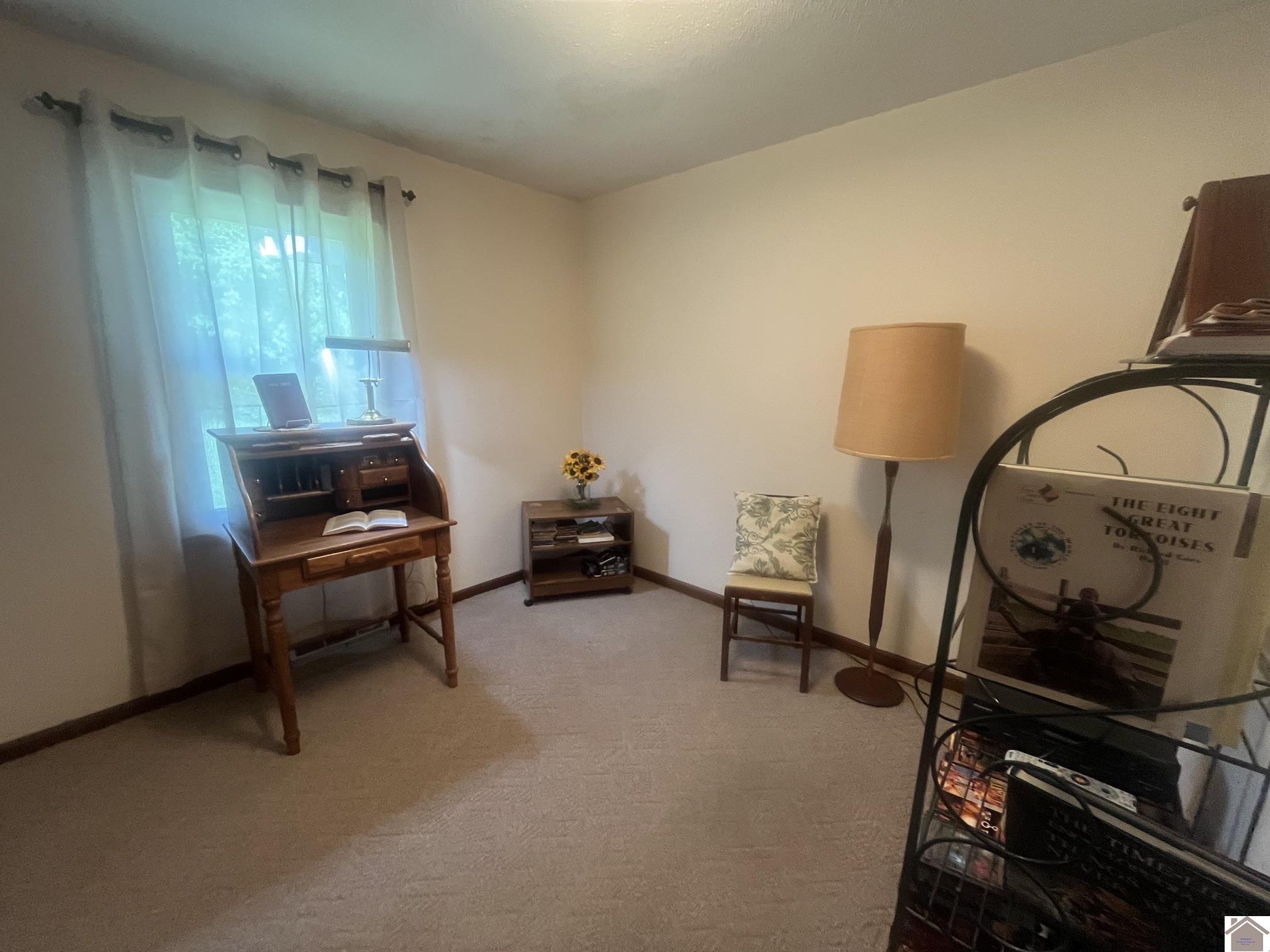 155 Shelby Dr, Wingo, KY 42088-9019 Listing Photo  19