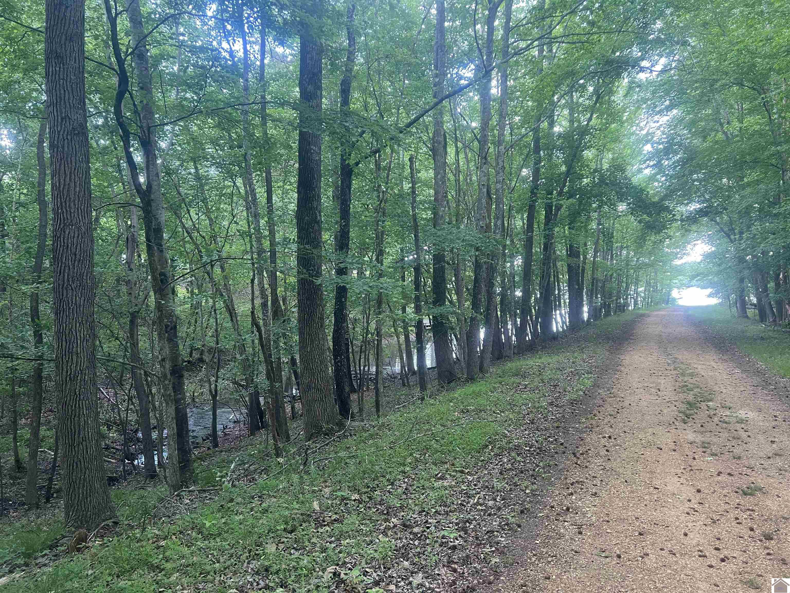 Lot 51 Block E Serenity Shores Rd., Benton, KY 42025 Listing Photo  1