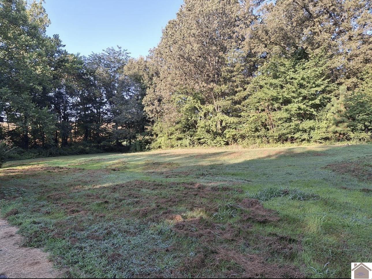 2140 KREBS STATION RD, Paducah, KY 42003 Listing Photo  4