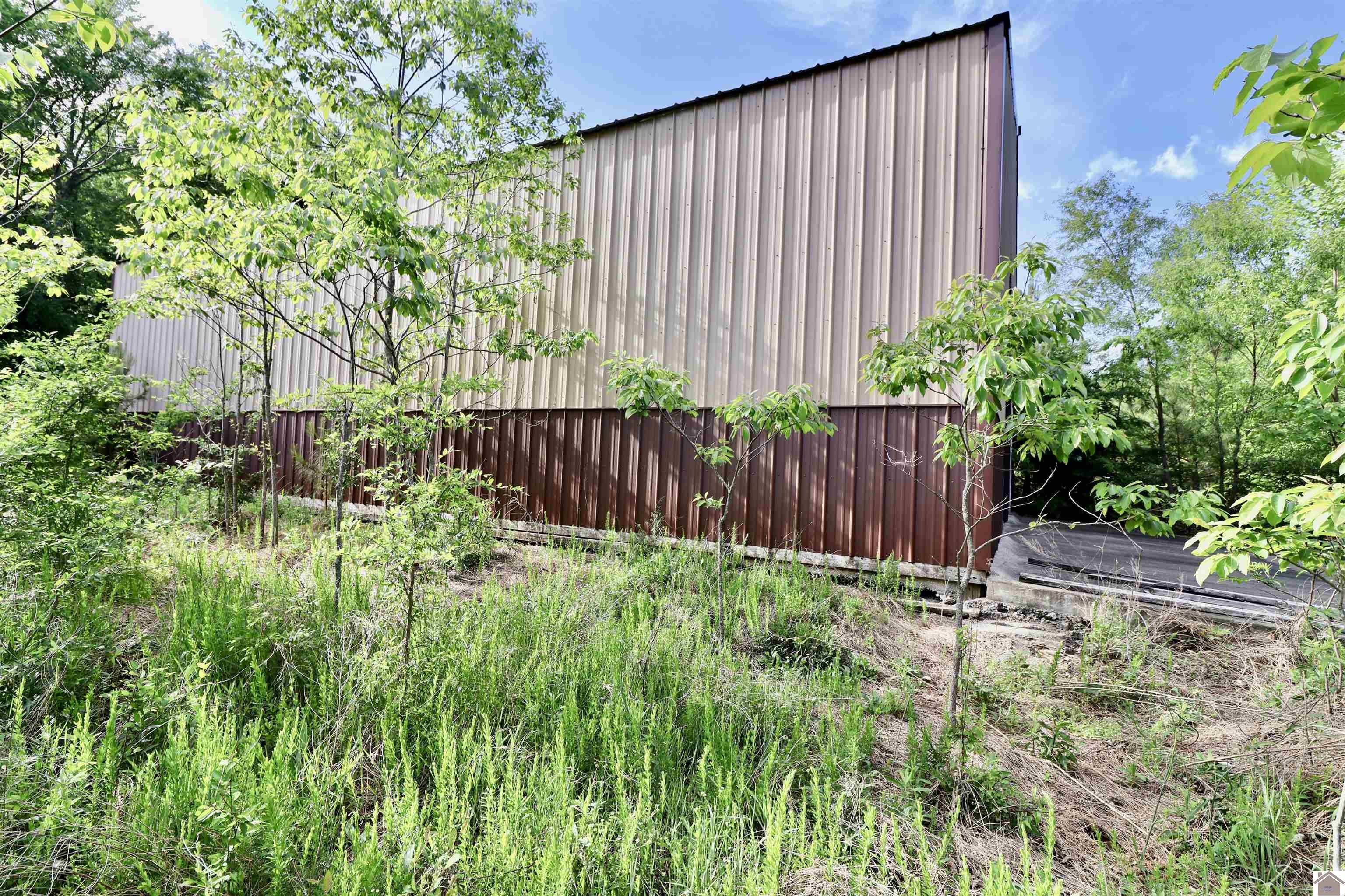 4436 shoemaker rd, Hazel, KY 42049 Listing Photo  12