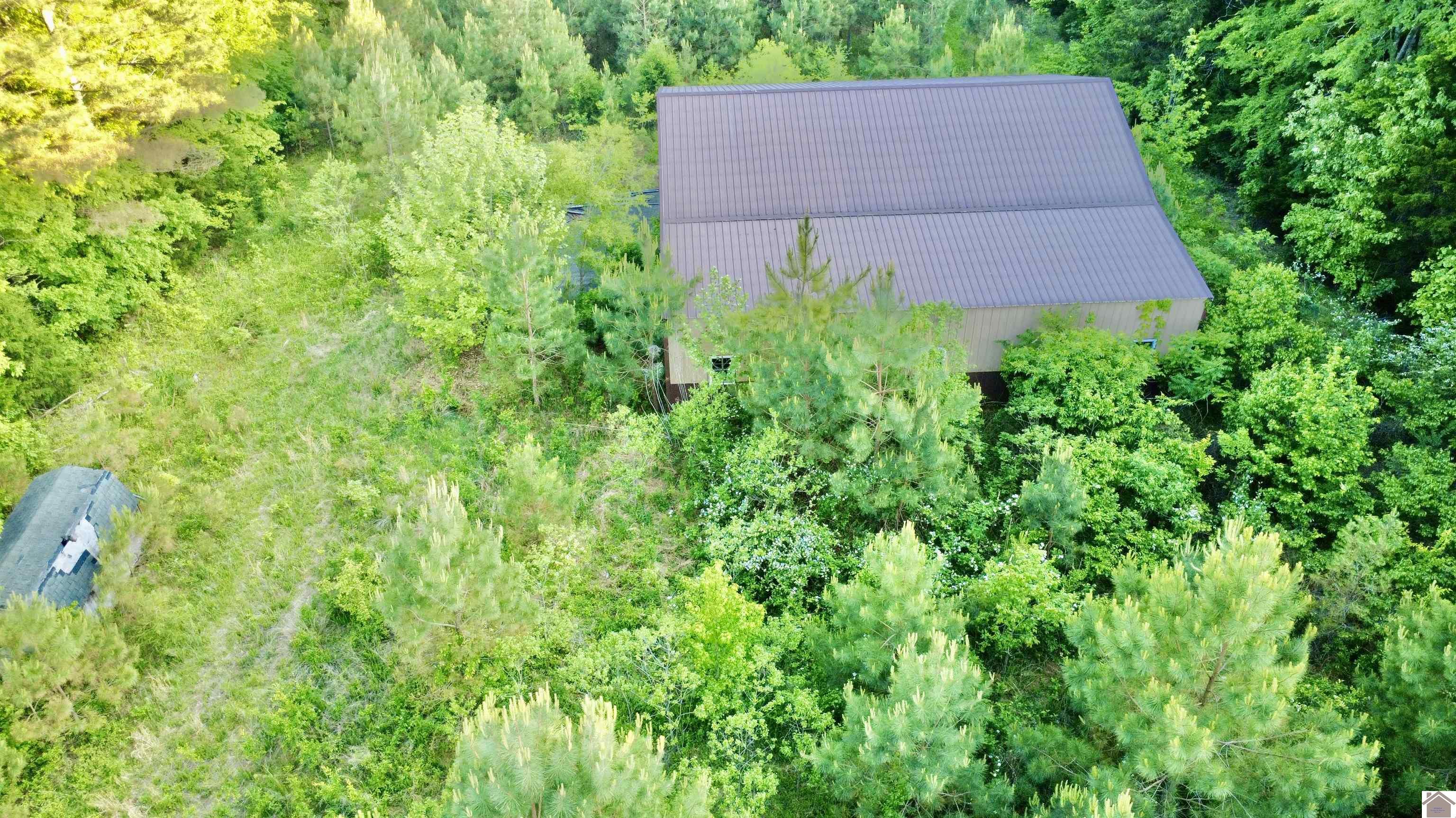 4436 shoemaker rd, Hazel, KY 42049 Listing Photo  19