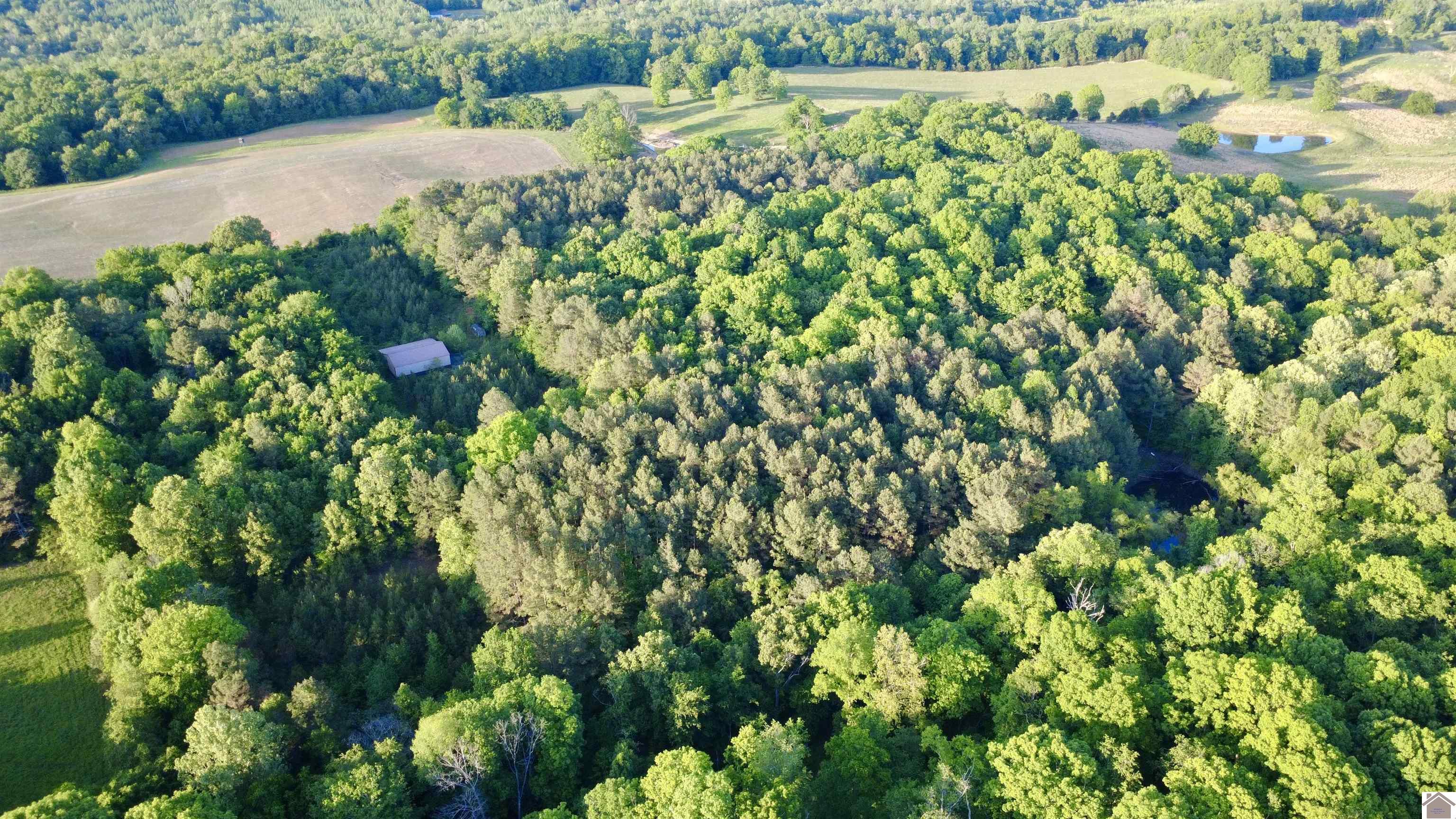 4436 shoemaker rd, Hazel, KY 42049 Listing Photo  22
