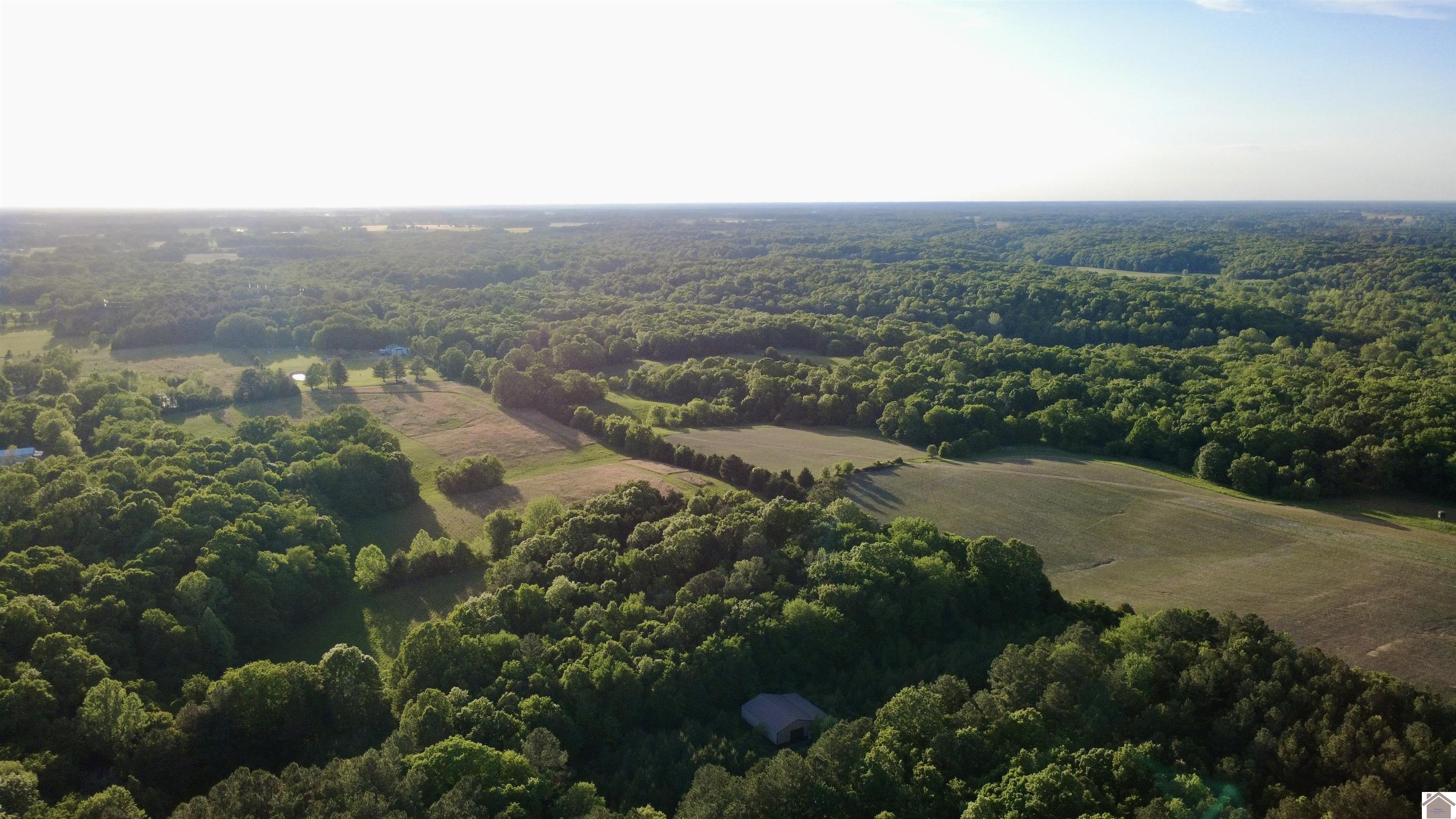 4436 shoemaker rd, Hazel, KY 42049 Listing Photo  25
